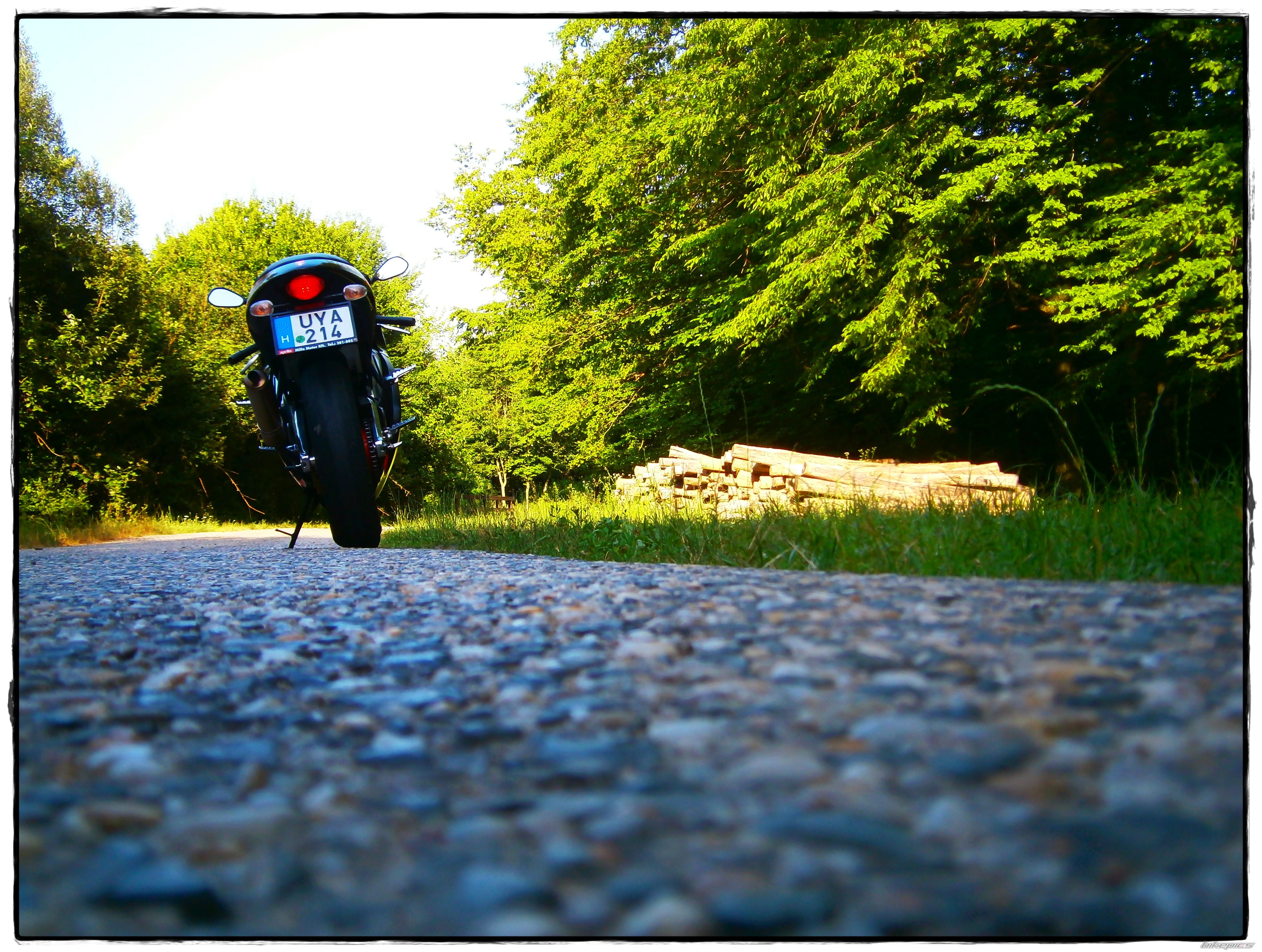 2004 APRILIA RS 125 | Picture 2424510 motorcycle photo