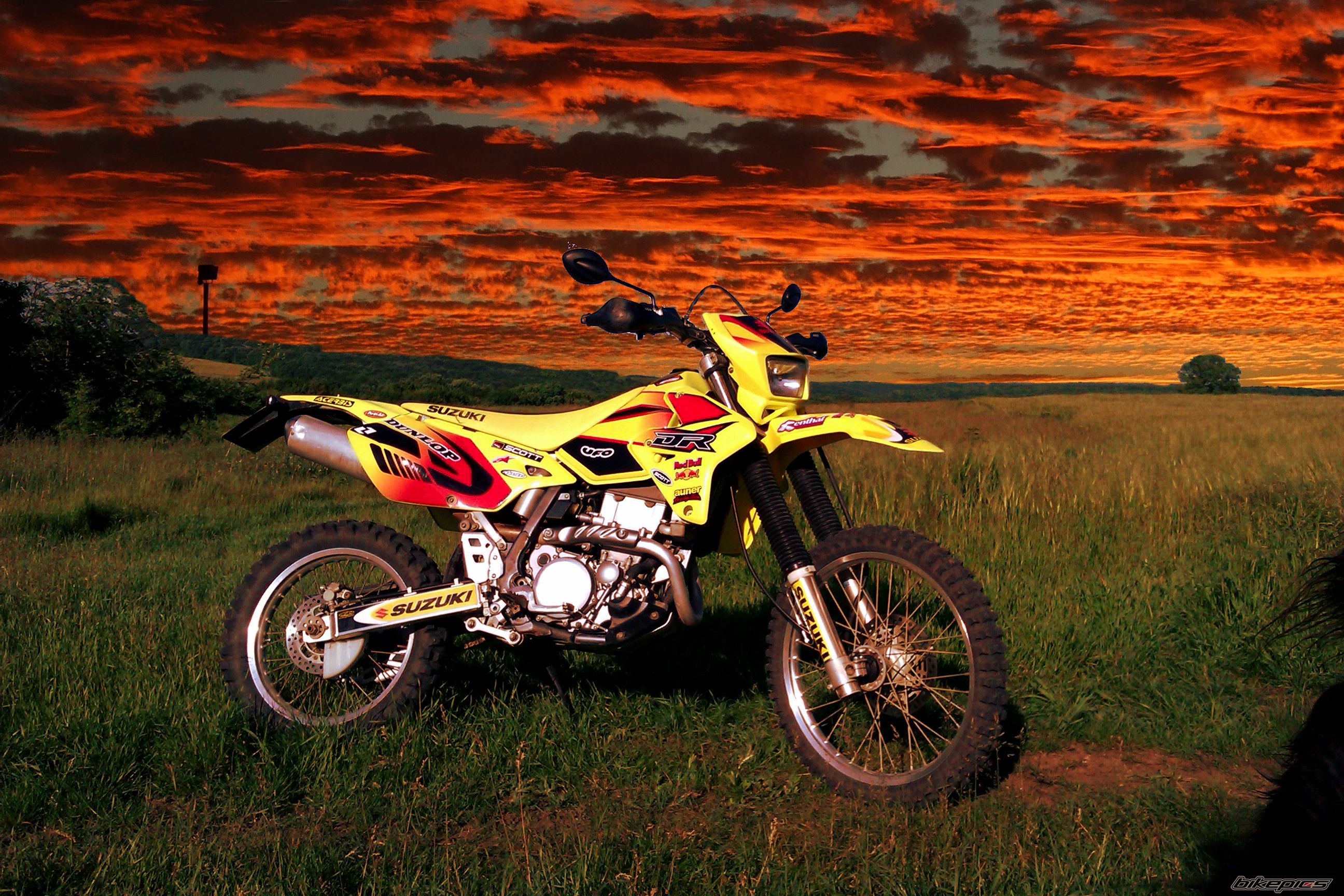 2003 SUZUKI DRZ 400 | Picture 2424512 motorcycle photo