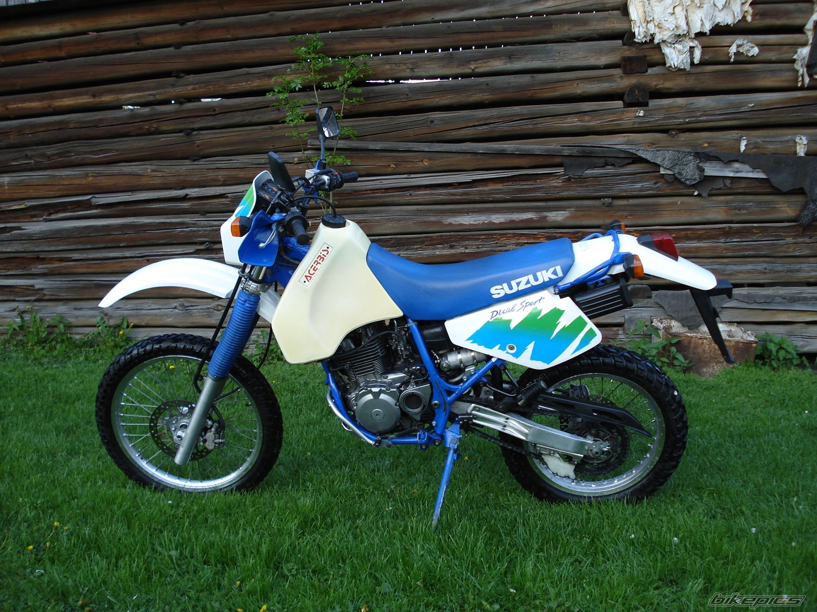 1999 SUZUKI DR 350 | Picture 2425029 motorcycle photo