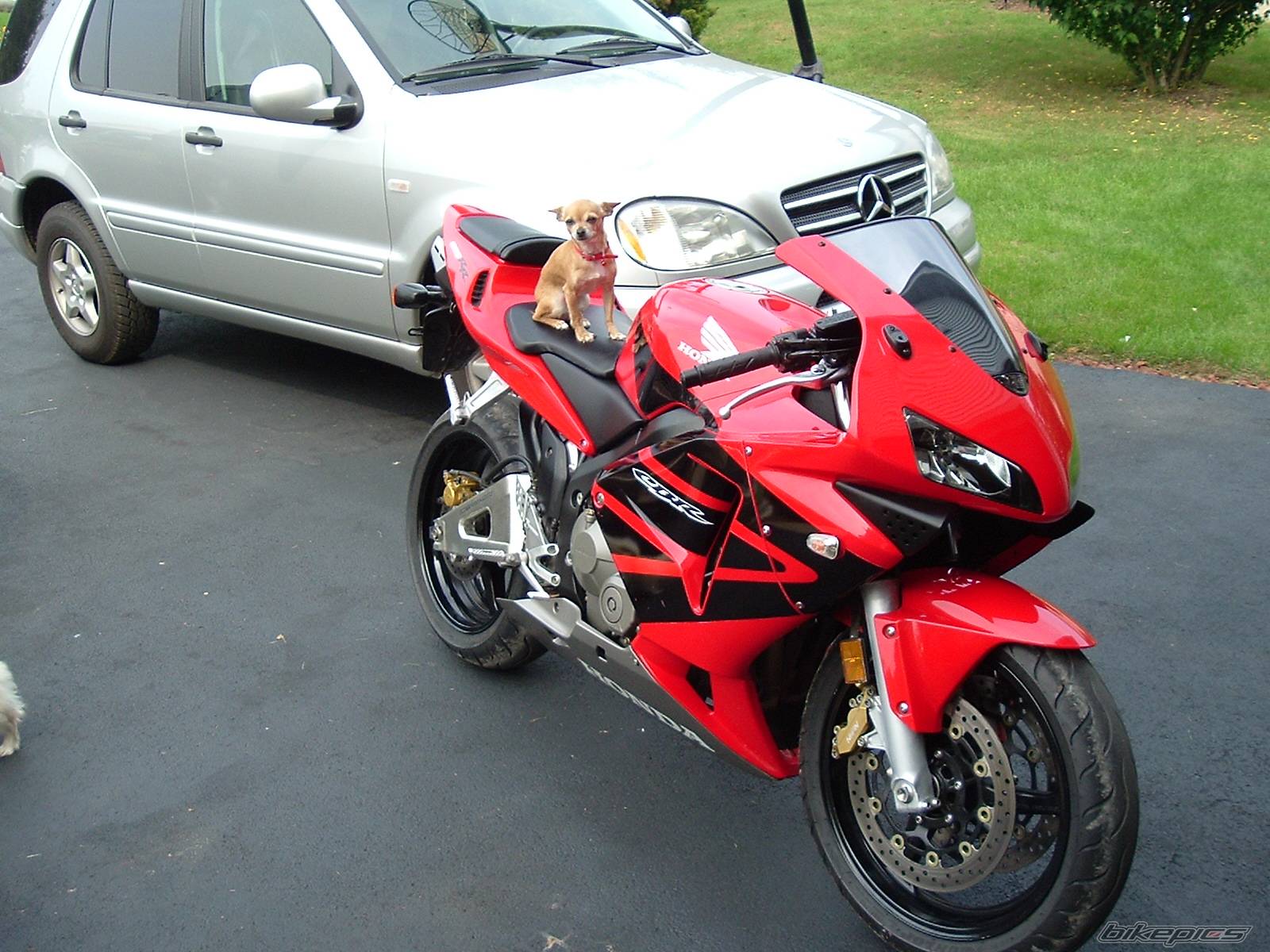 2003 HONDA CBR 600 | Picture 242628 motorcycle photo
