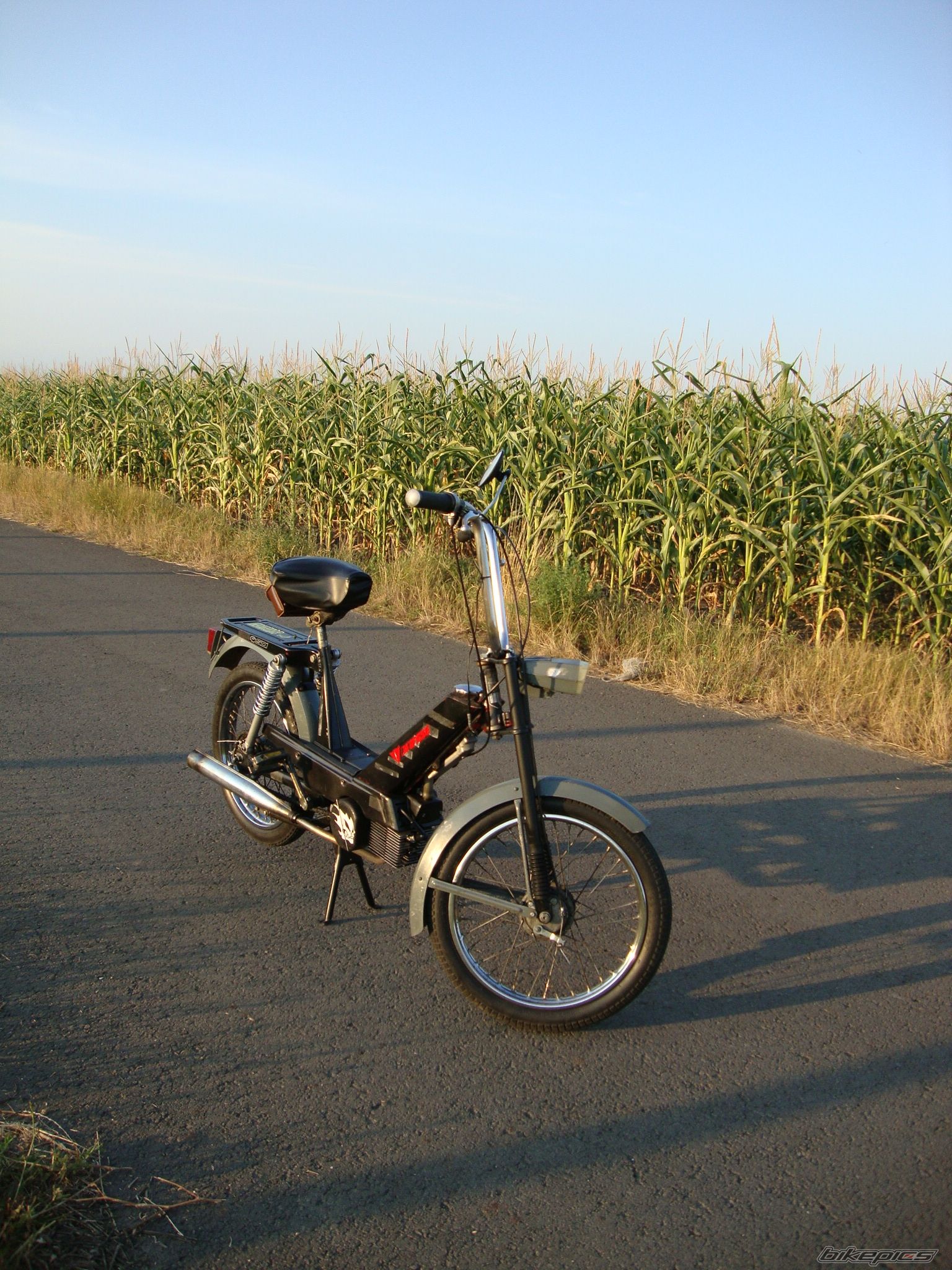 1982 JAWA BABETTA | Picture 2427261 motorcycle photo