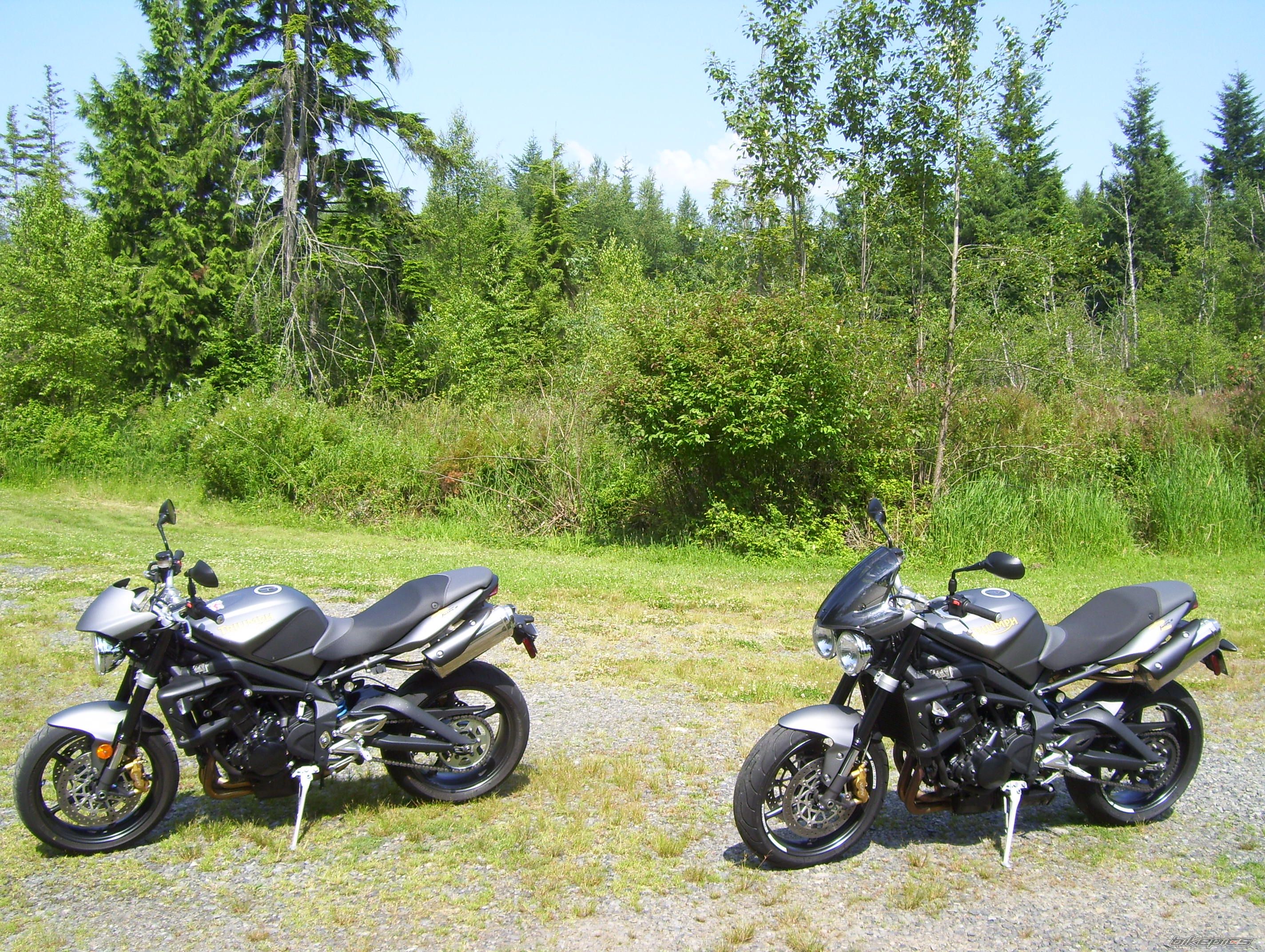 2011 TRIUMPH STREET TRIPLE R | Picture 2427450 motorcycle photo