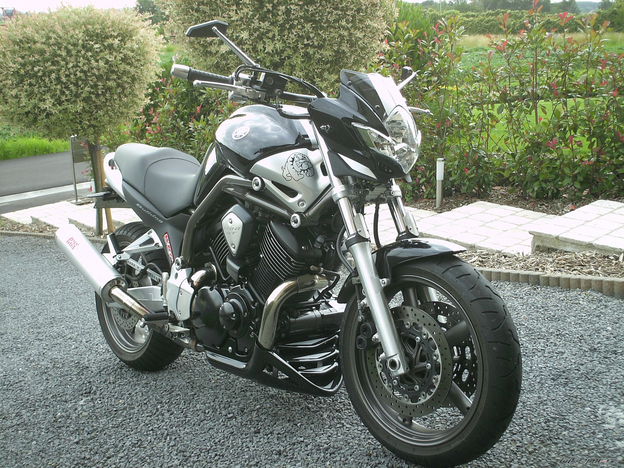 2002 YAMAHA BULLDOG | Picture 2428167 motorcycle photo