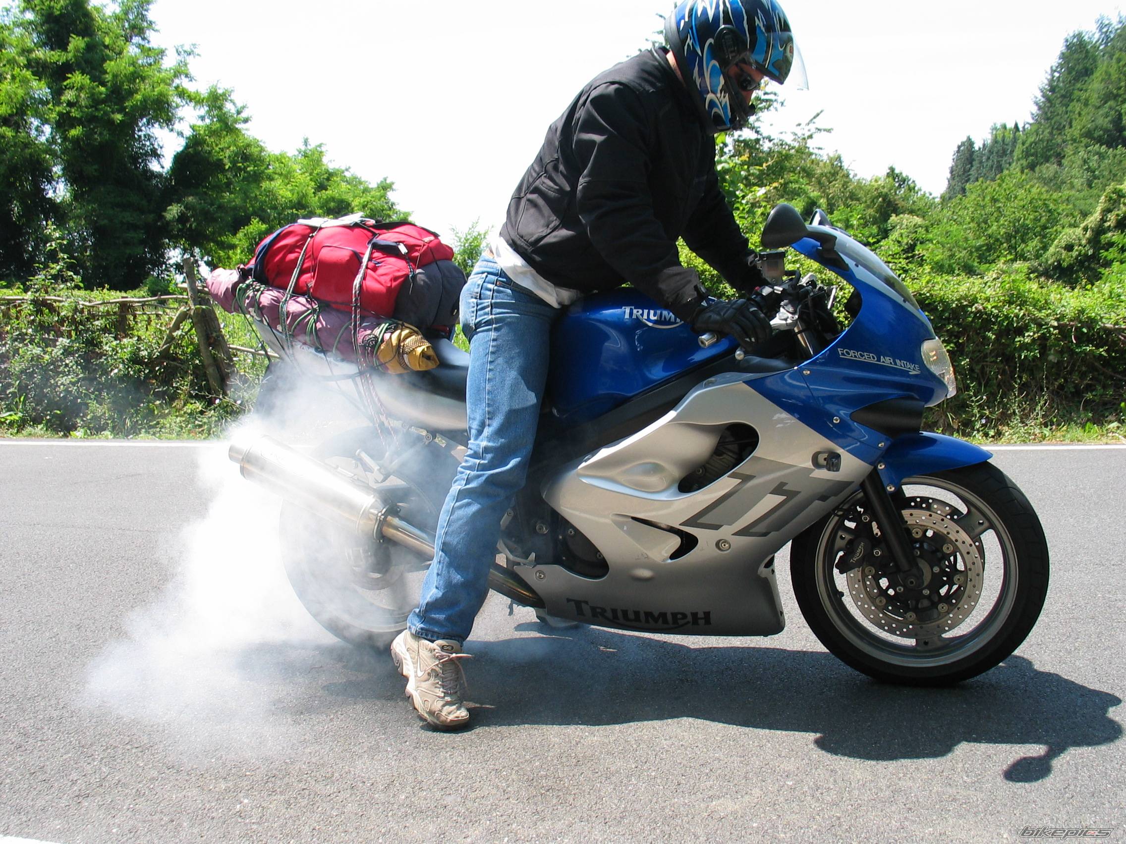 2002 TRIUMPH TT 600 | Picture 242858 motorcycle photo