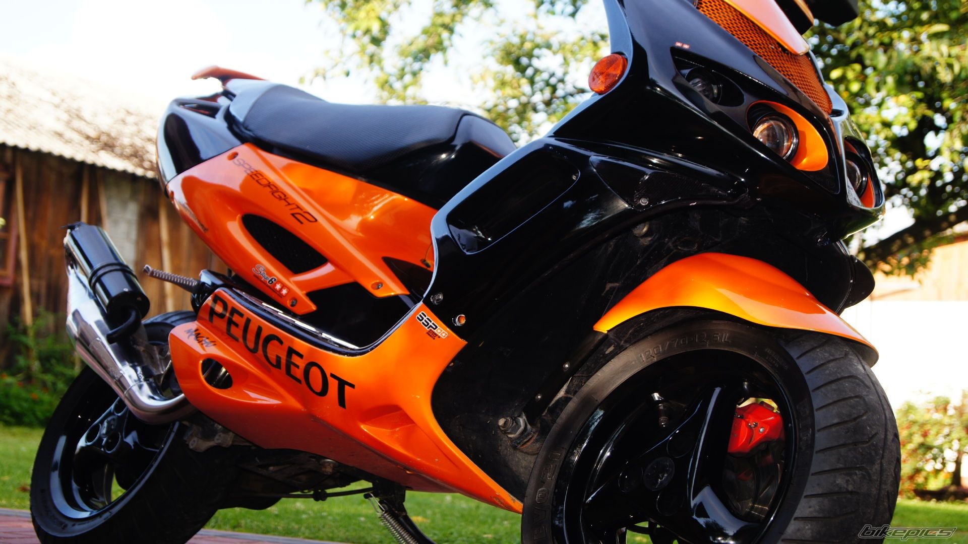 2008 PEUGEOT SPEEDFIGHT2 50 | Picture 2429243 motorcycle photo