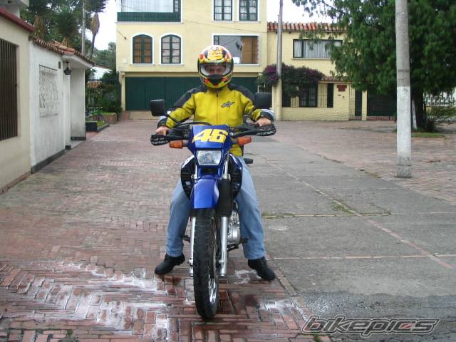 2001 YAMAHA XT 600 | Picture 242946 motorcycle photo