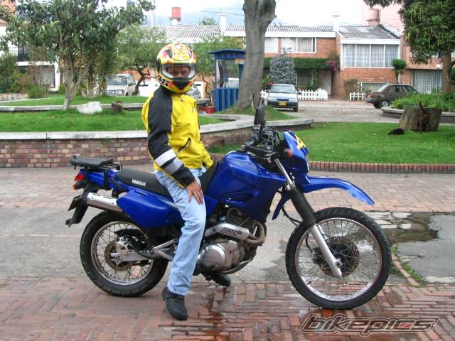 2001 YAMAHA XT 600 | Picture 242947 motorcycle photo