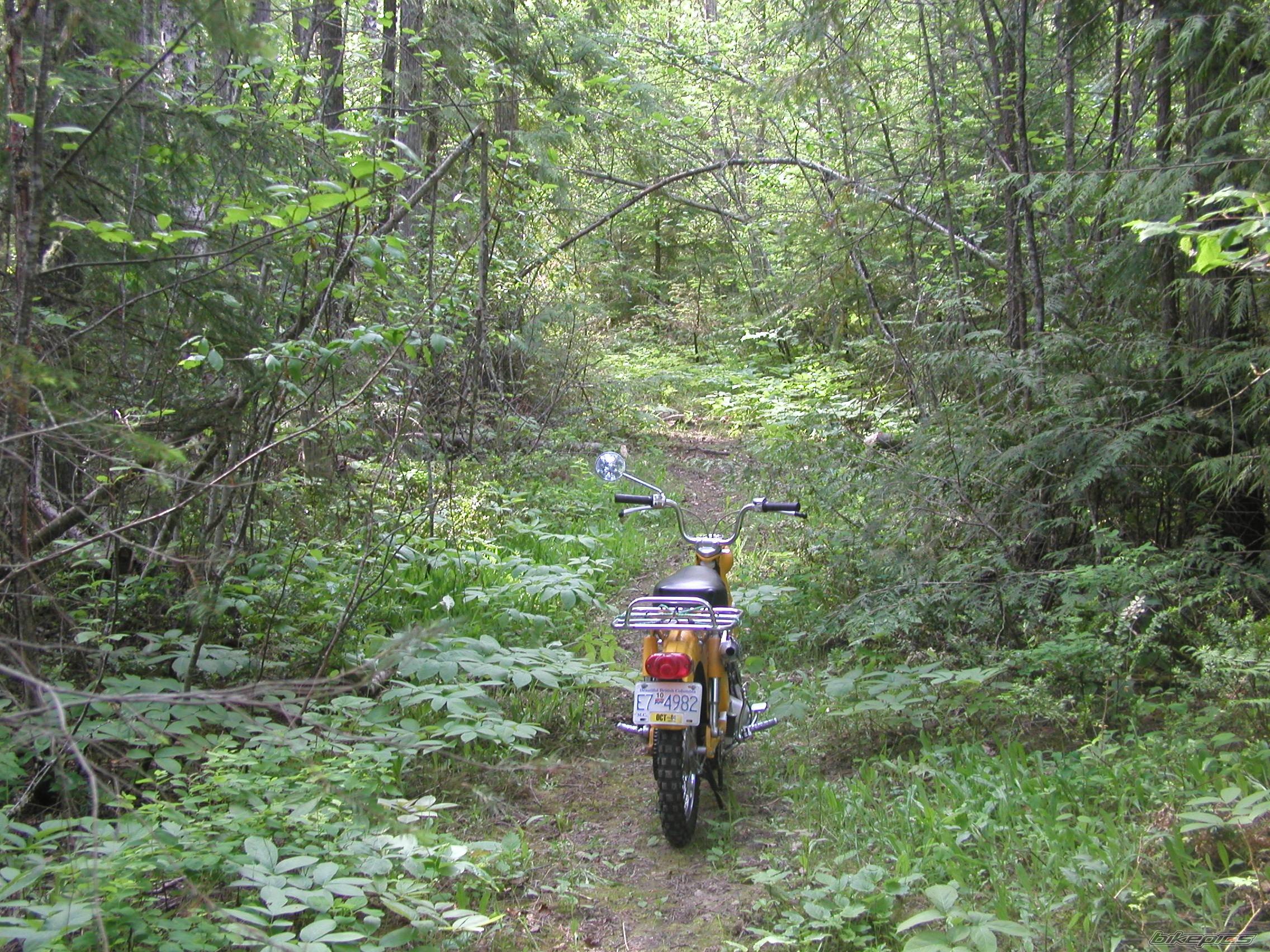 1968 HONDA CT 90 | Picture 242971 motorcycle photo