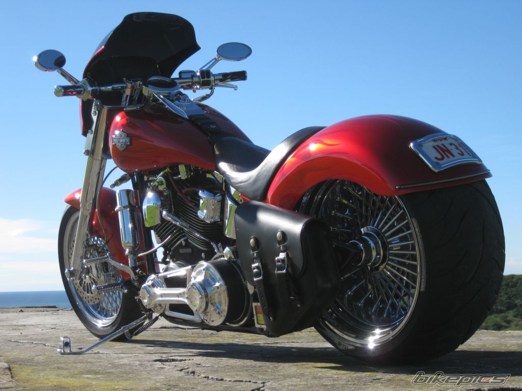 2004 HARLEY DAVIDSON FLSTC | Picture 2429823 motorcycle photo