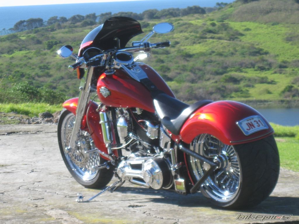 2004 HARLEY DAVIDSON FLSTC | Picture 2429827 motorcycle photo