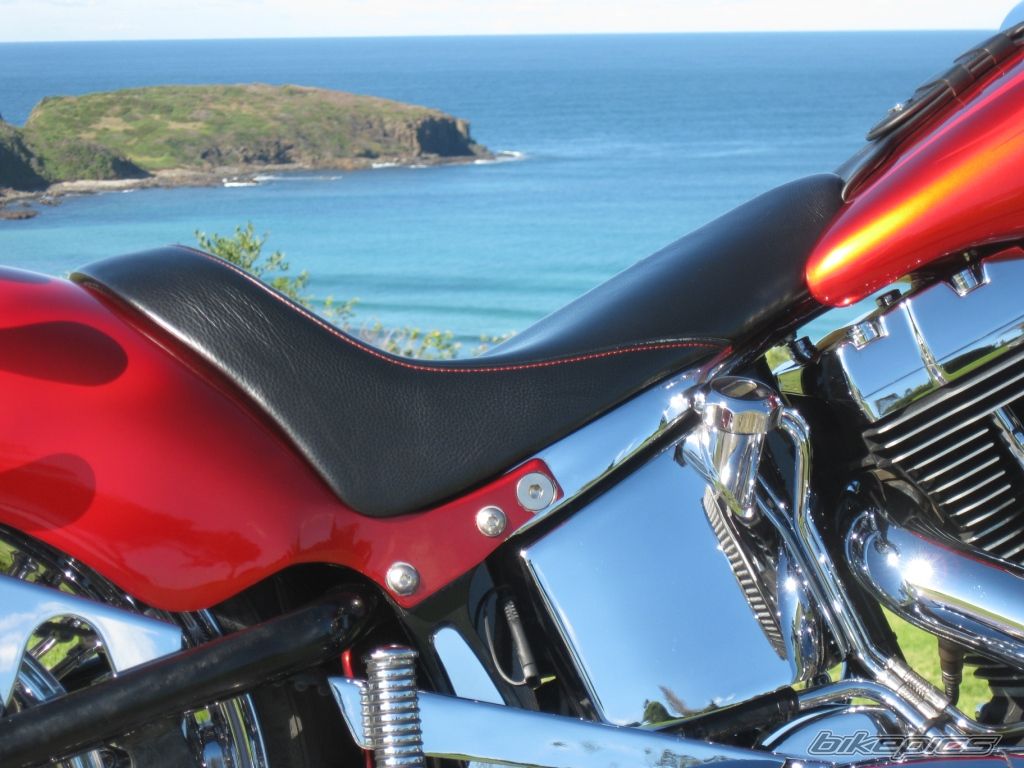 2004 HARLEY DAVIDSON FLSTC | Picture 2429831 motorcycle photo