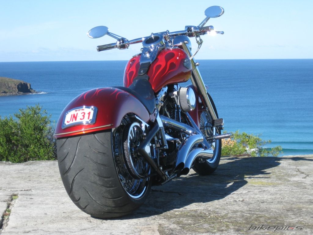 2004 HARLEY DAVIDSON FLSTC | Picture 2429836 motorcycle photo