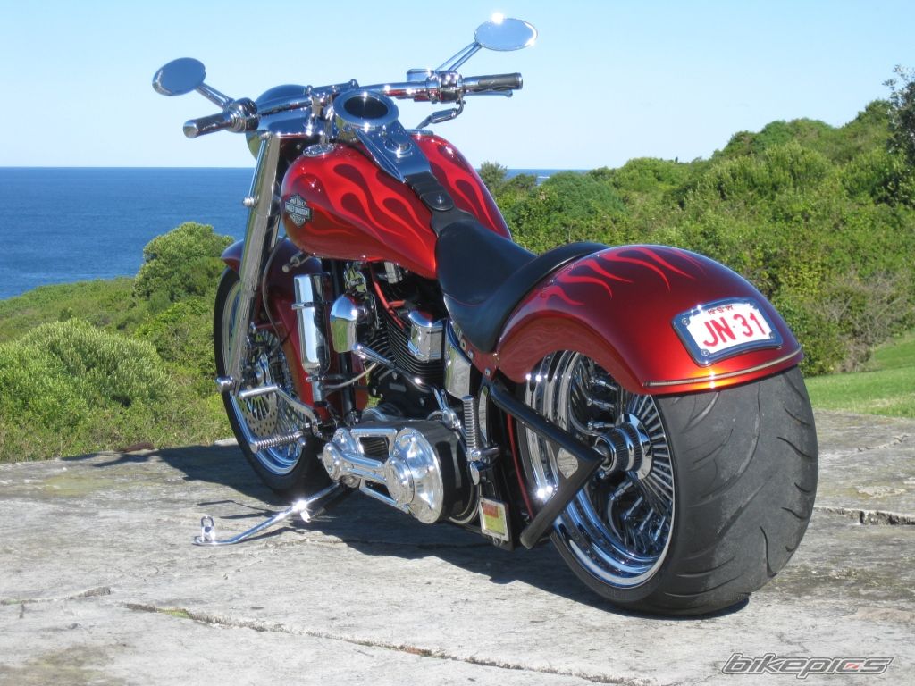 2004 HARLEY DAVIDSON FLSTC | Picture 2429838 motorcycle photo