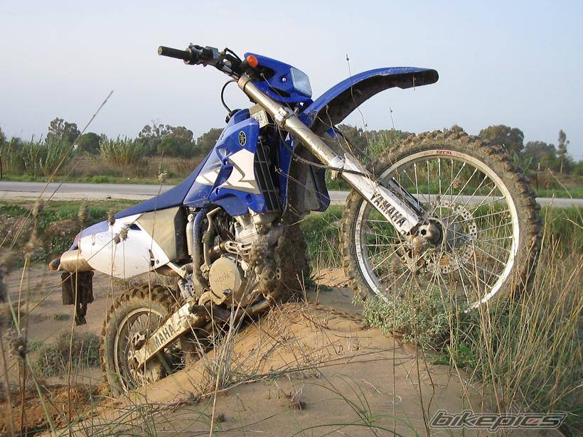 2004 YAMAHA WR450 | Picture 243026 motorcycle photo