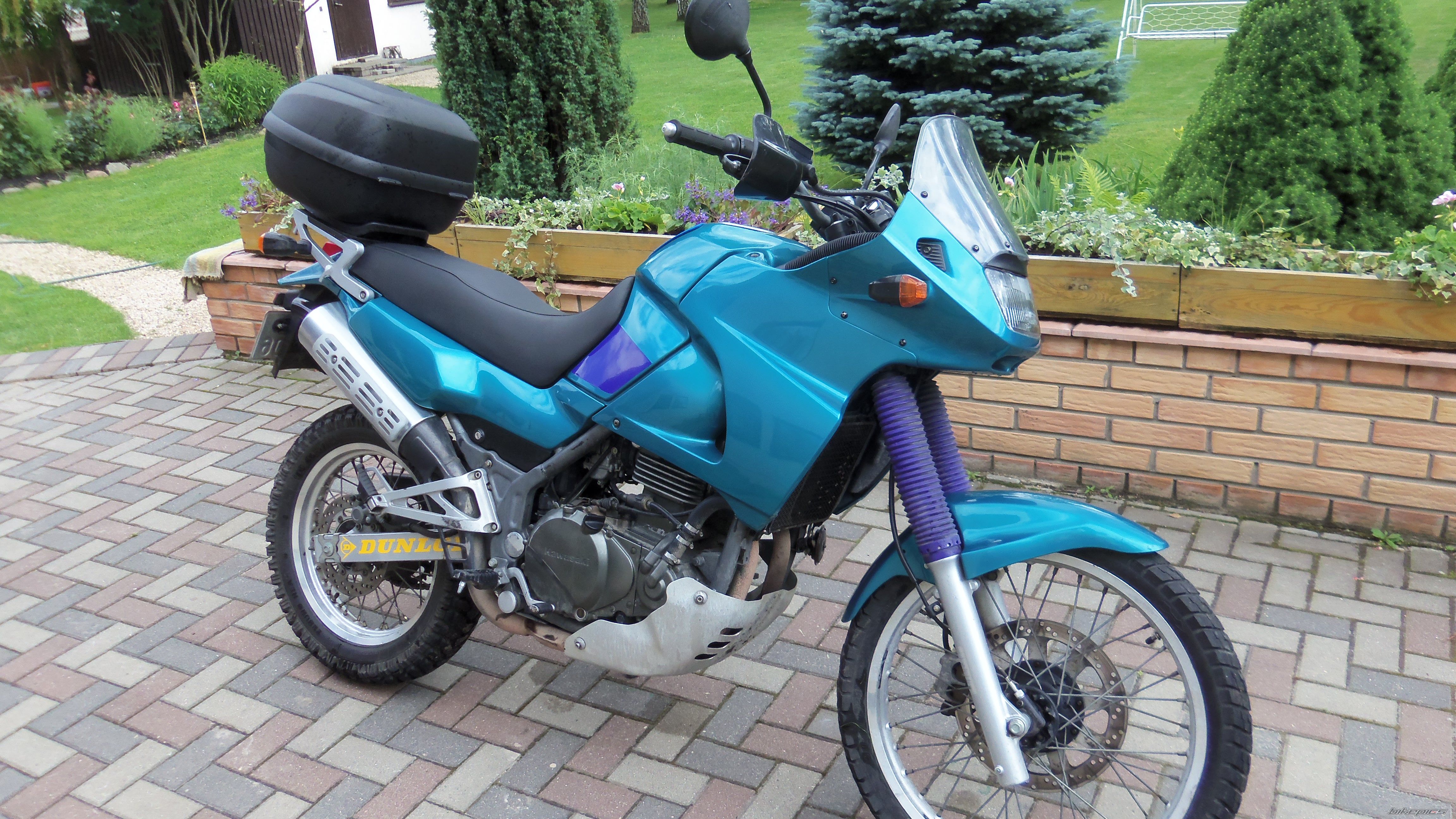 1995 KAWASAKI KLE 500 | Picture 2431036 motorcycle photo