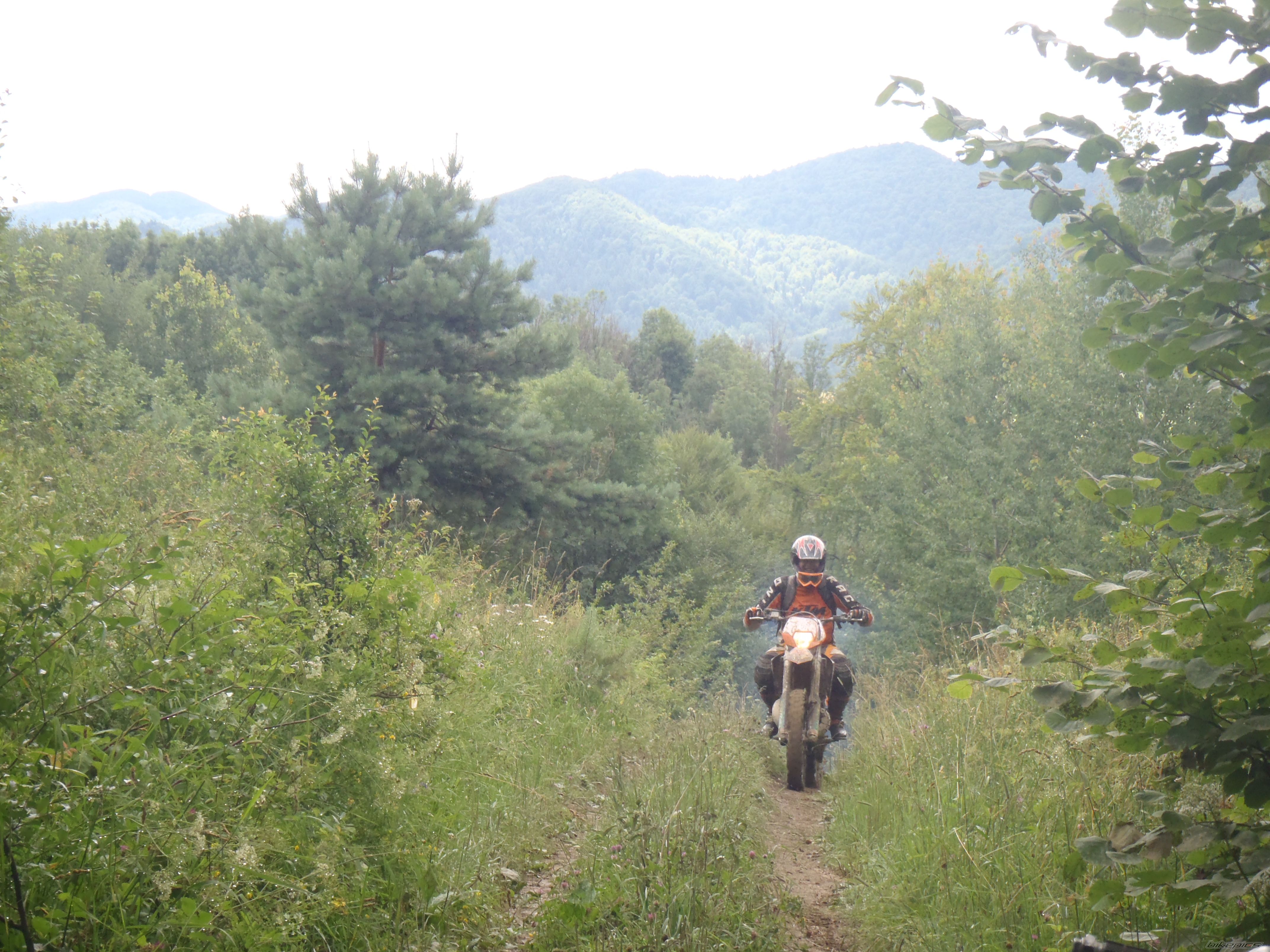    | Picture 2431598 motorcycle photo