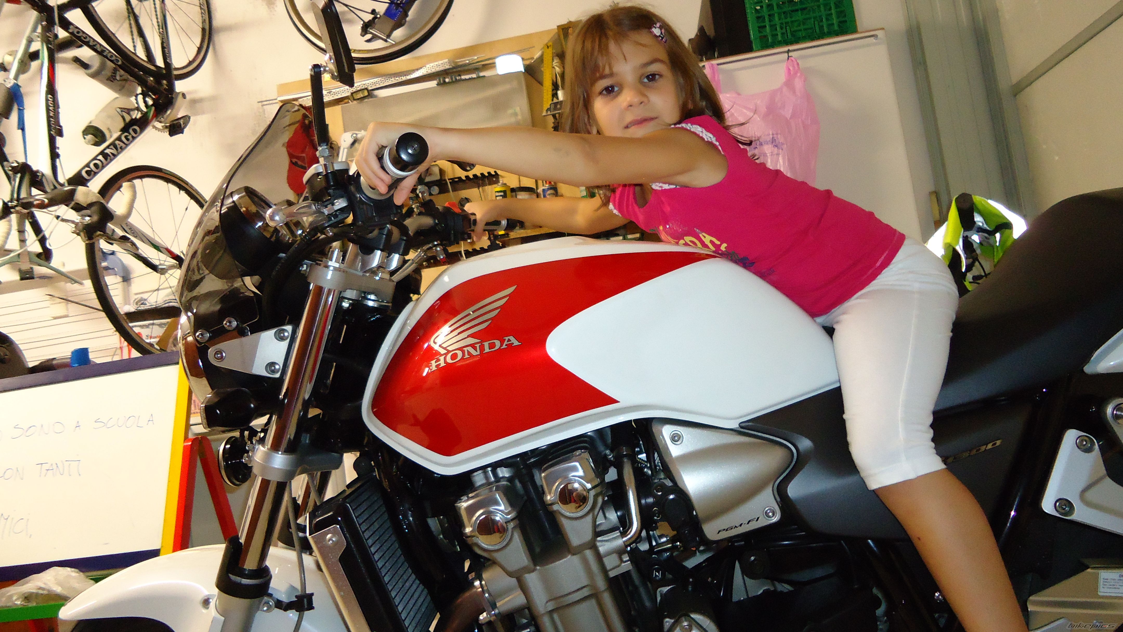 2004 HONDA CB1300 | Picture 2431843 motorcycle photo