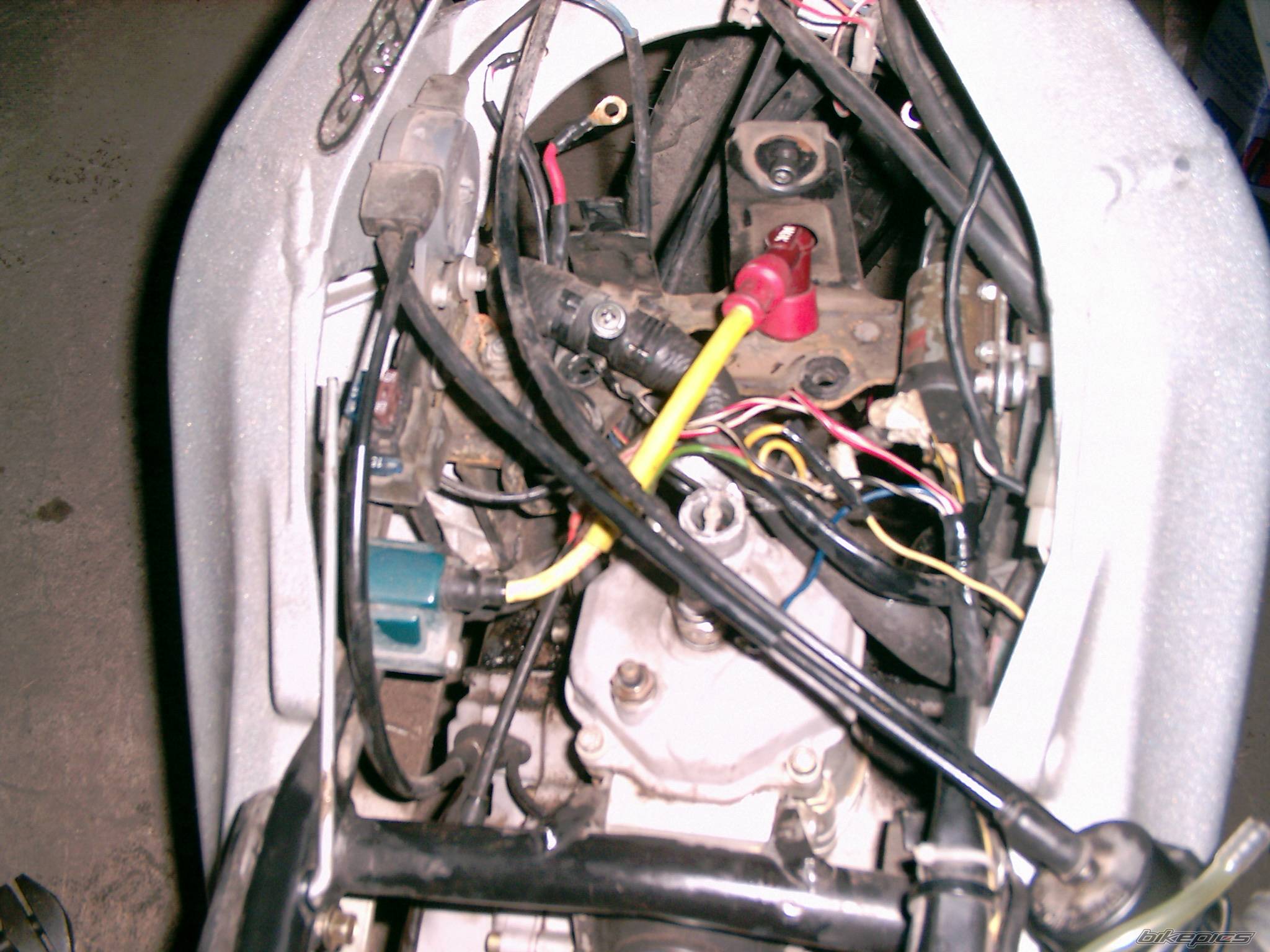 1995 APRILIA RS 125 | Picture 243237 motorcycle photo