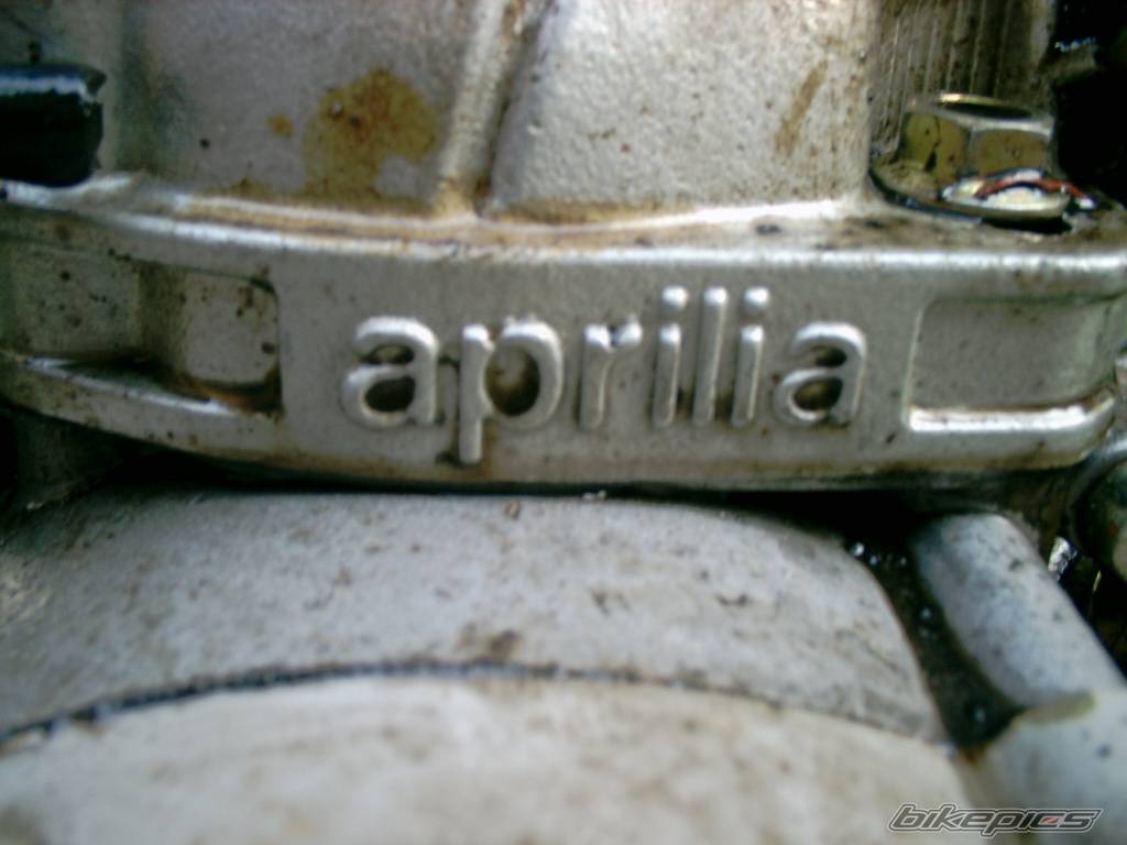 1995 APRILIA RS 125 | Picture 243259 motorcycle photo