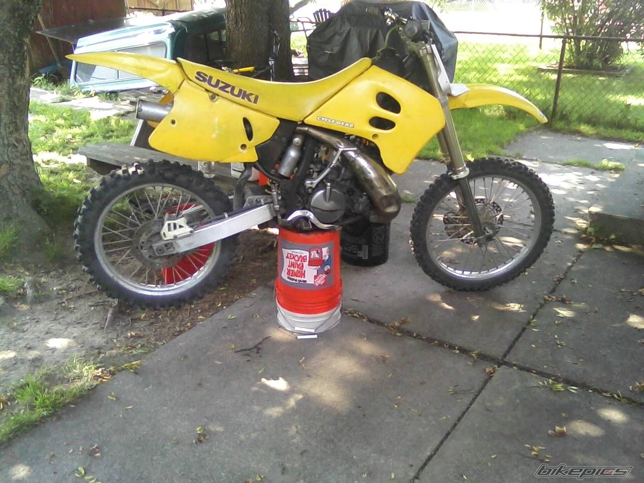 1993 SUZUKI RM250 | Picture 2432774 motorcycle photo