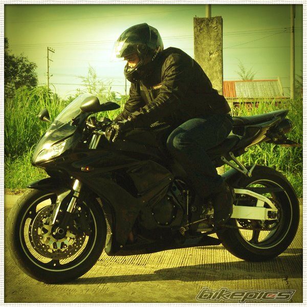 2007 HONDA CBR 1000  RR | Picture 2432780 motorcycle photo