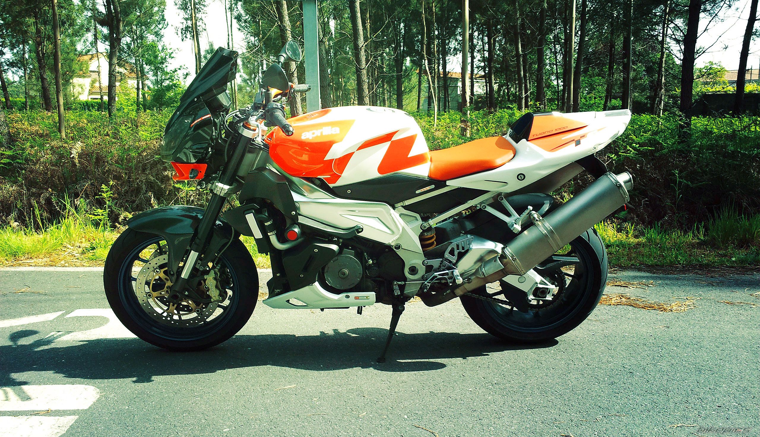 2007 APRILIA TUONO R V2 | Picture 2432981 motorcycle photo
