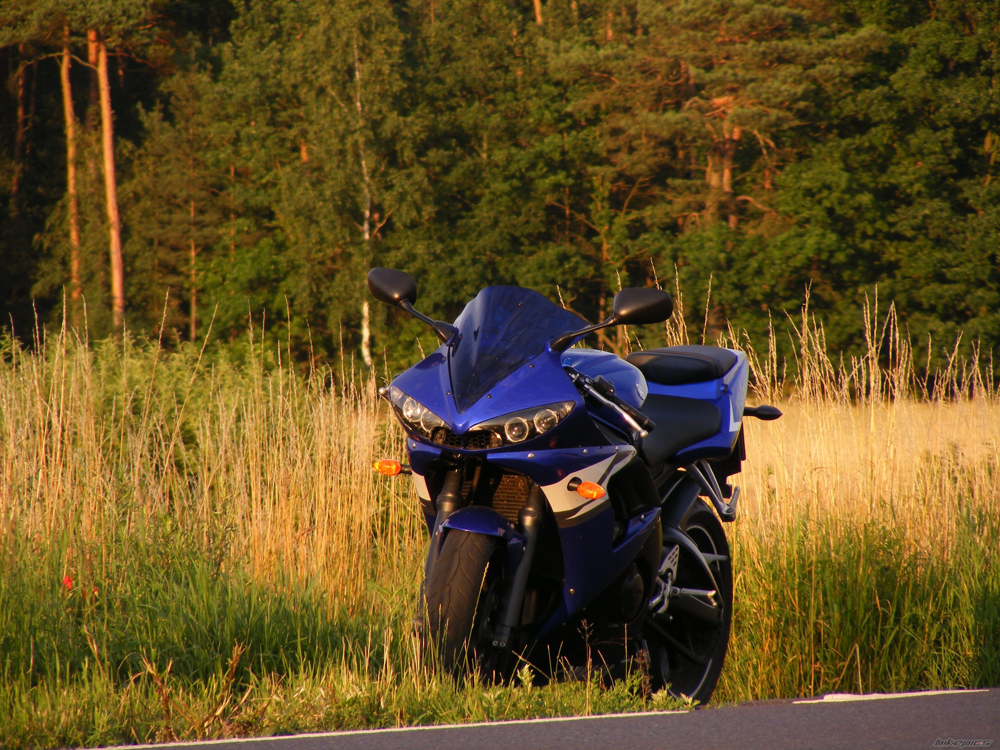 2004 YAMAHA YZF R6 | Picture 2433187 motorcycle photo