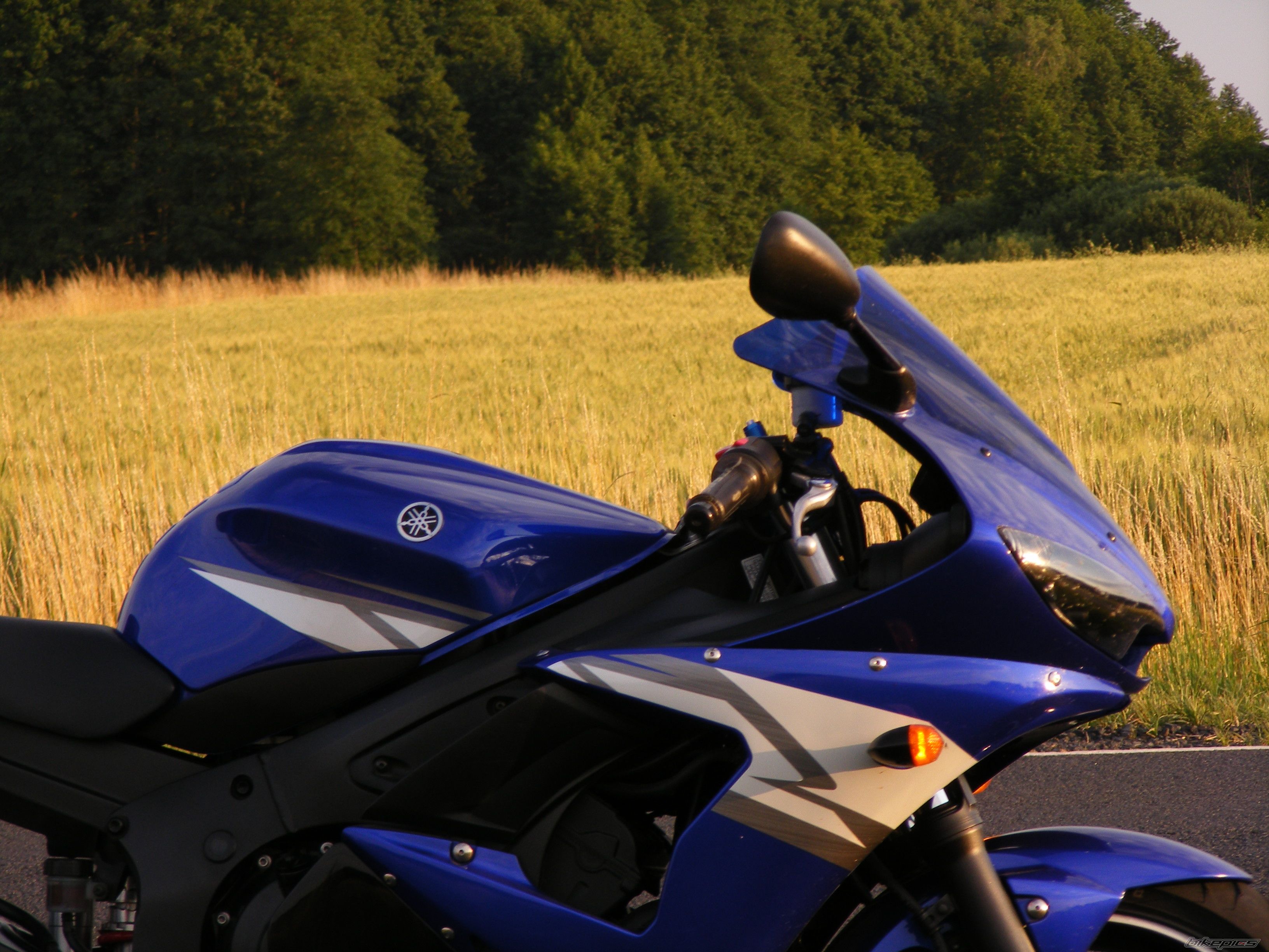 2004 YAMAHA YZF R6 | Picture 2433188 motorcycle photo