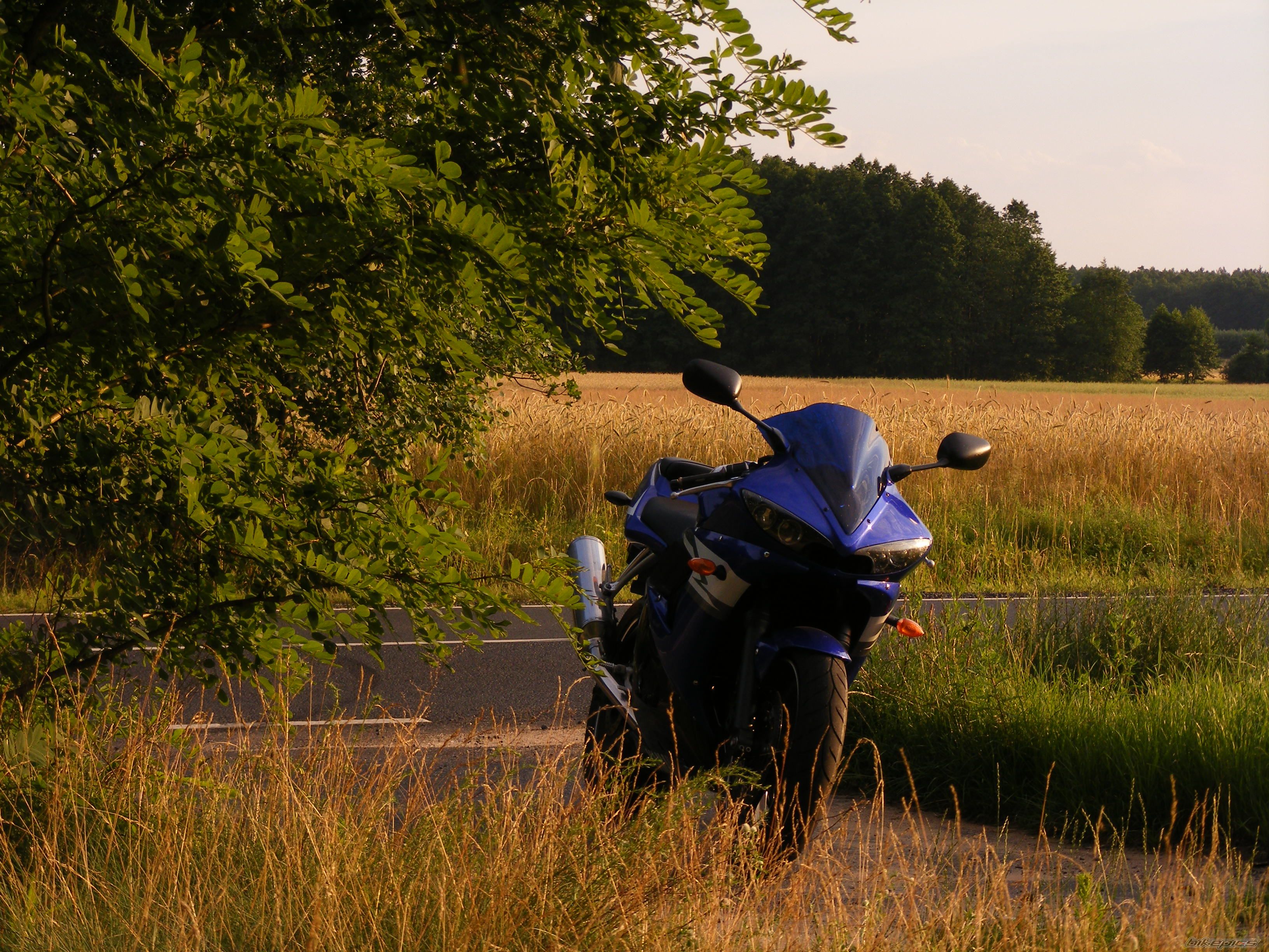 2004 YAMAHA YZF R6 | Picture 2433191 motorcycle photo