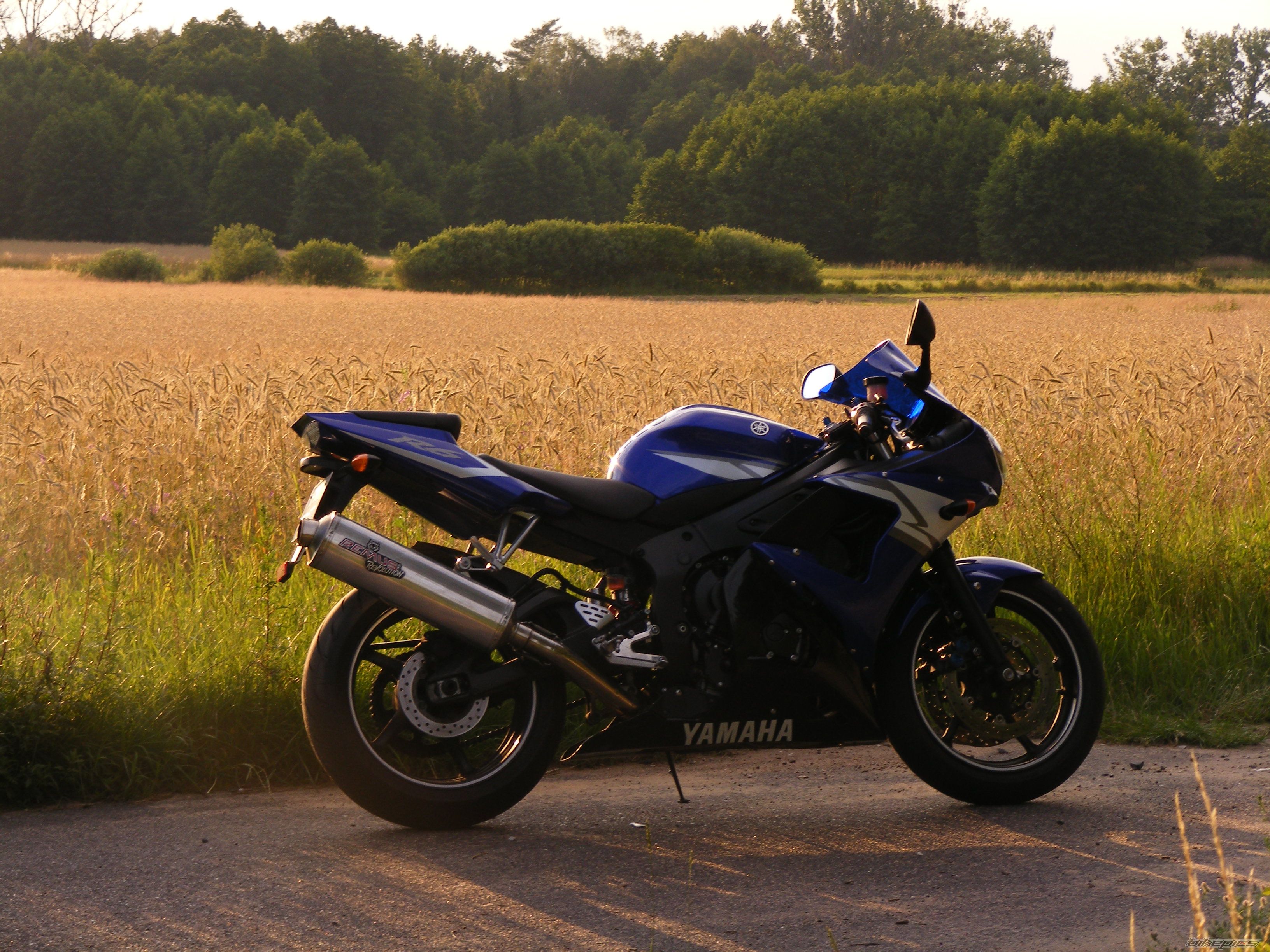 2004 YAMAHA YZF R6 | Picture 2433192 motorcycle photo