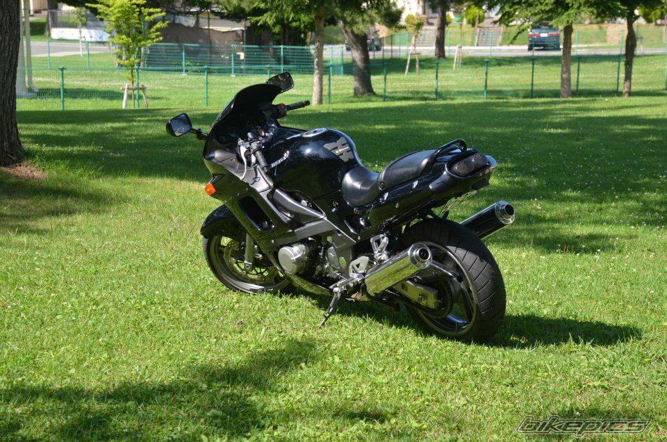    | Picture 2433246 motorcycle photo
