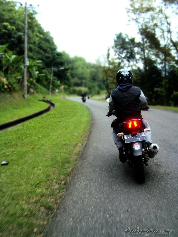 2011 BAJAJ PULSAR 220F | Picture 2433683 motorcycle photo