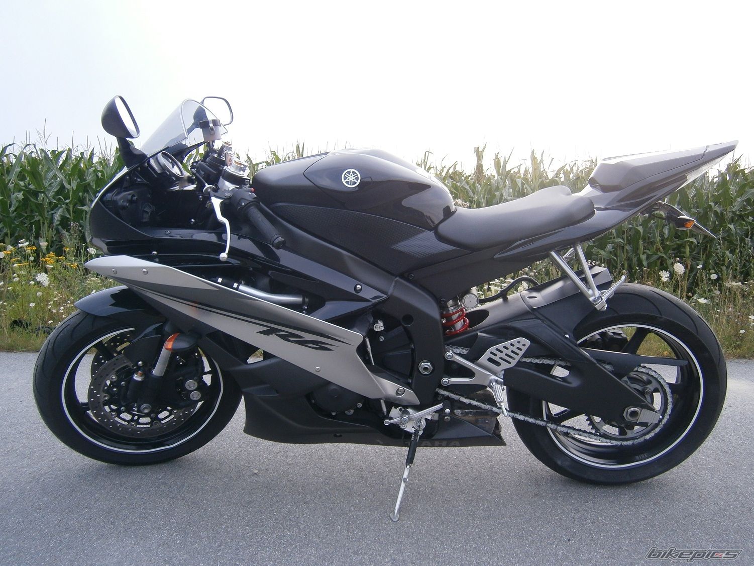 2007 YAMAHA YZF R6 | Picture 2435130 motorcycle photo