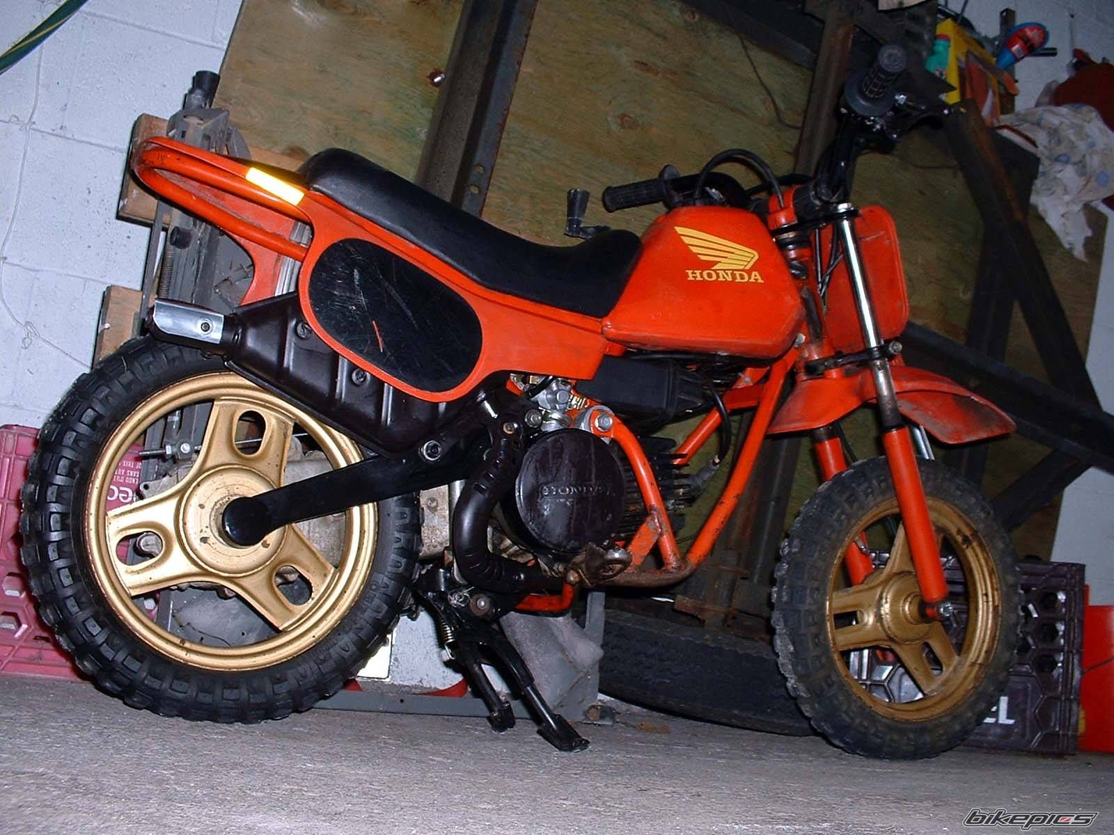 1983 HONDA QR 50 | Picture 2435333 motorcycle photo