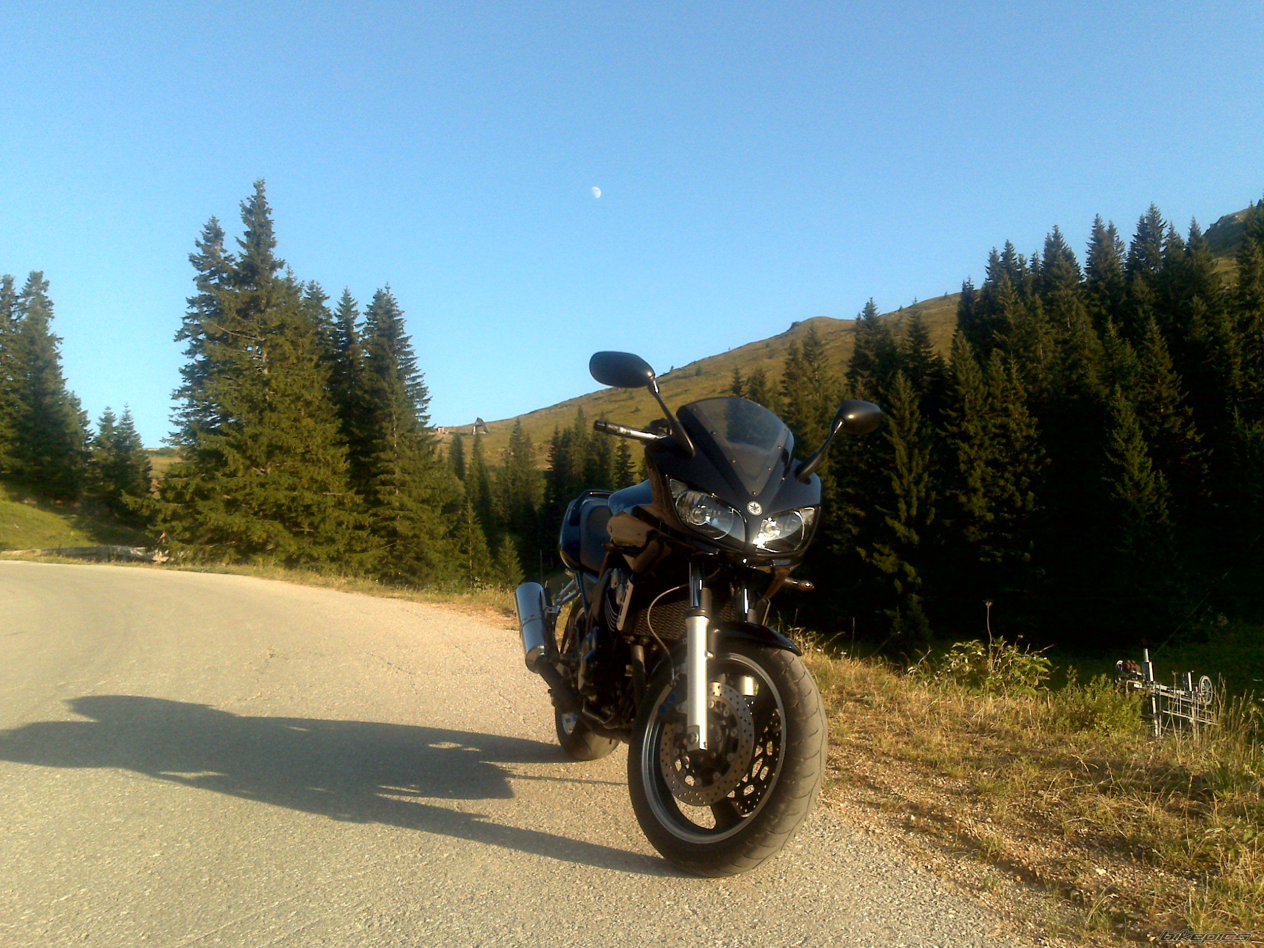 2003 YAMAHA FZS 600 FAZER | Picture 2435593 motorcycle photo