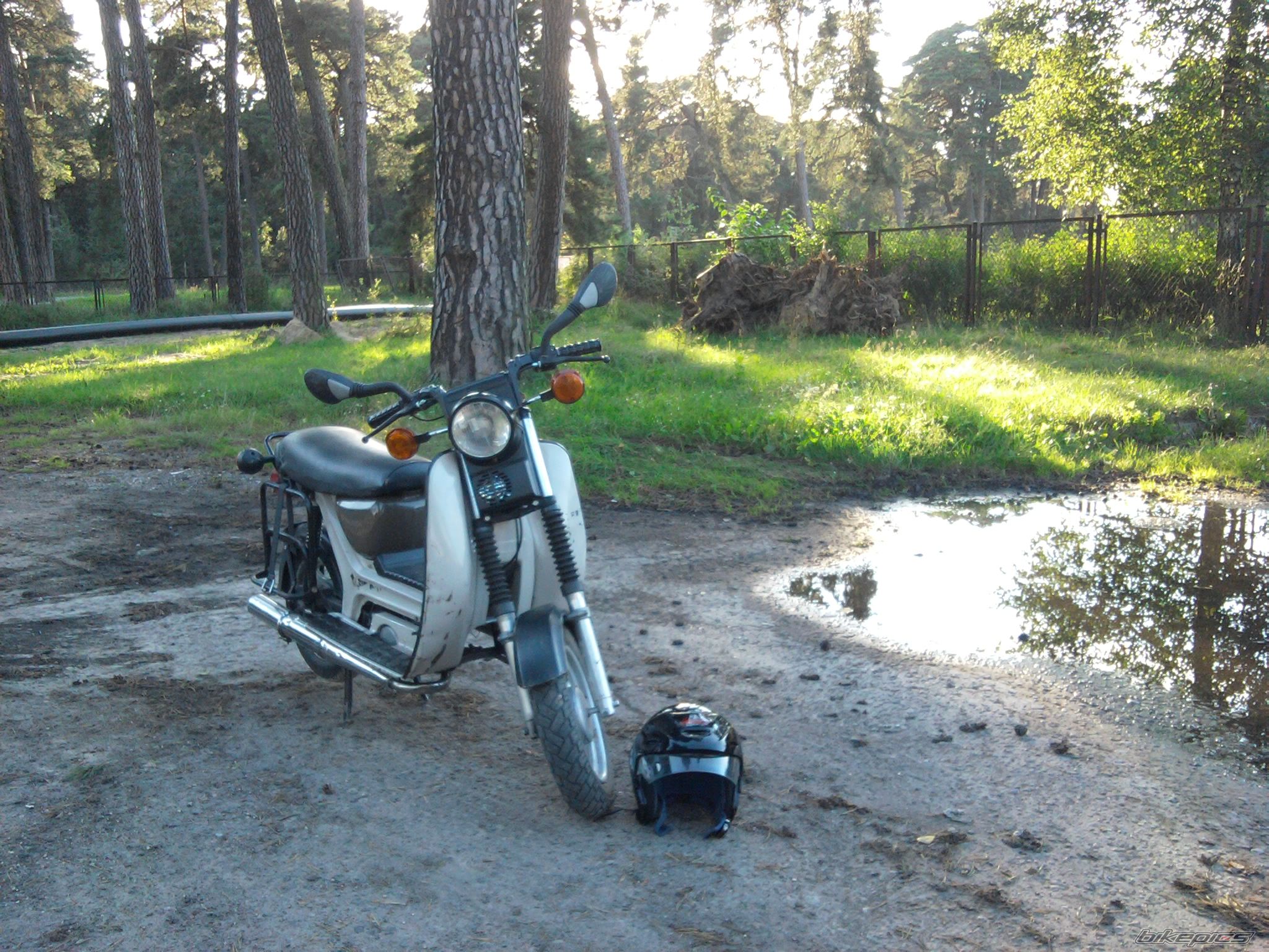 1988 SIMSON SR50 | Picture 2435786 motorcycle photo