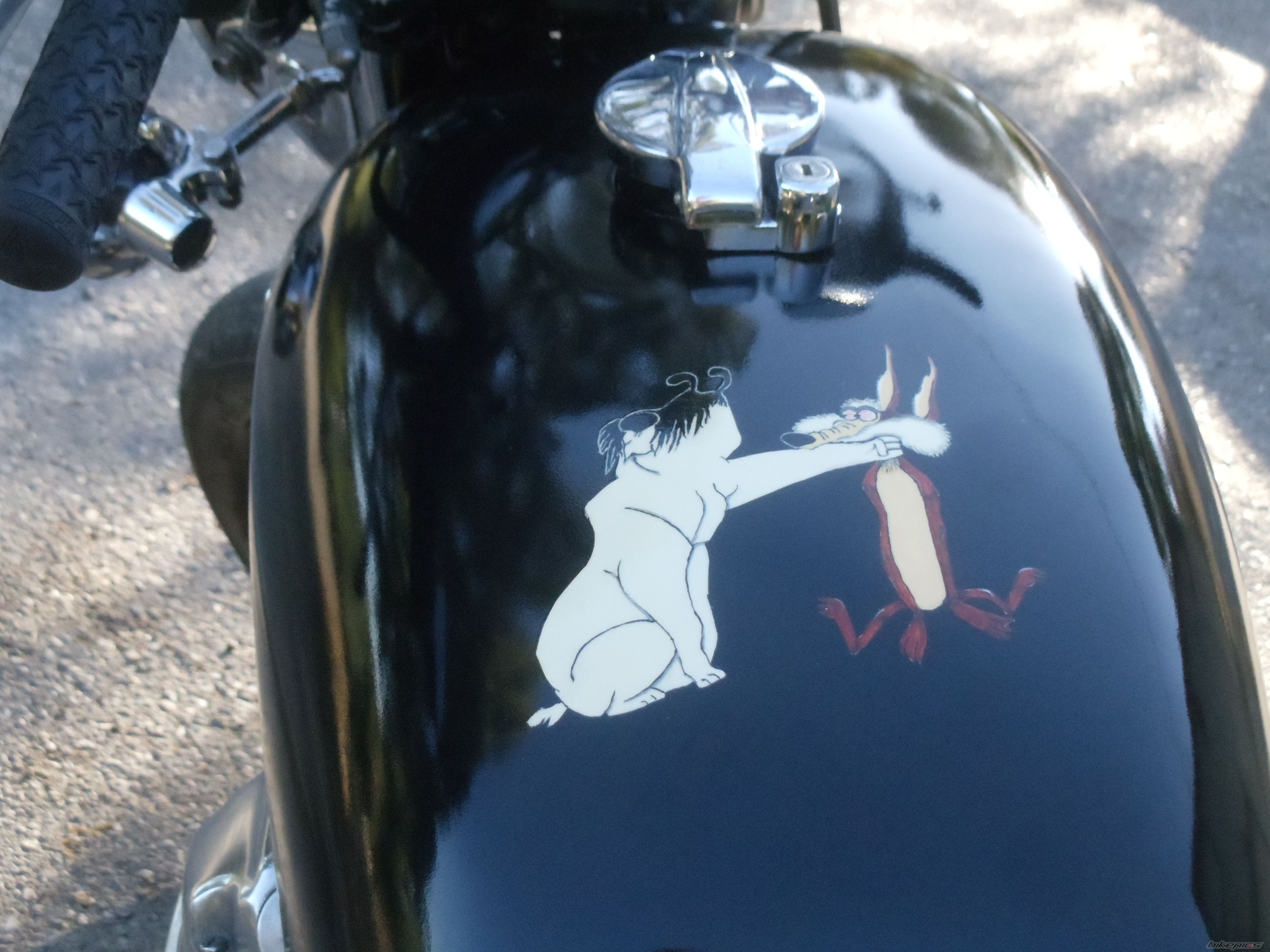    | Picture 2436169 motorcycle photo