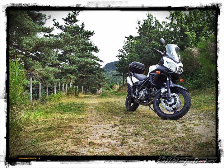 2012 SUZUKI V STROM | Picture 2437410 motorcycle photo