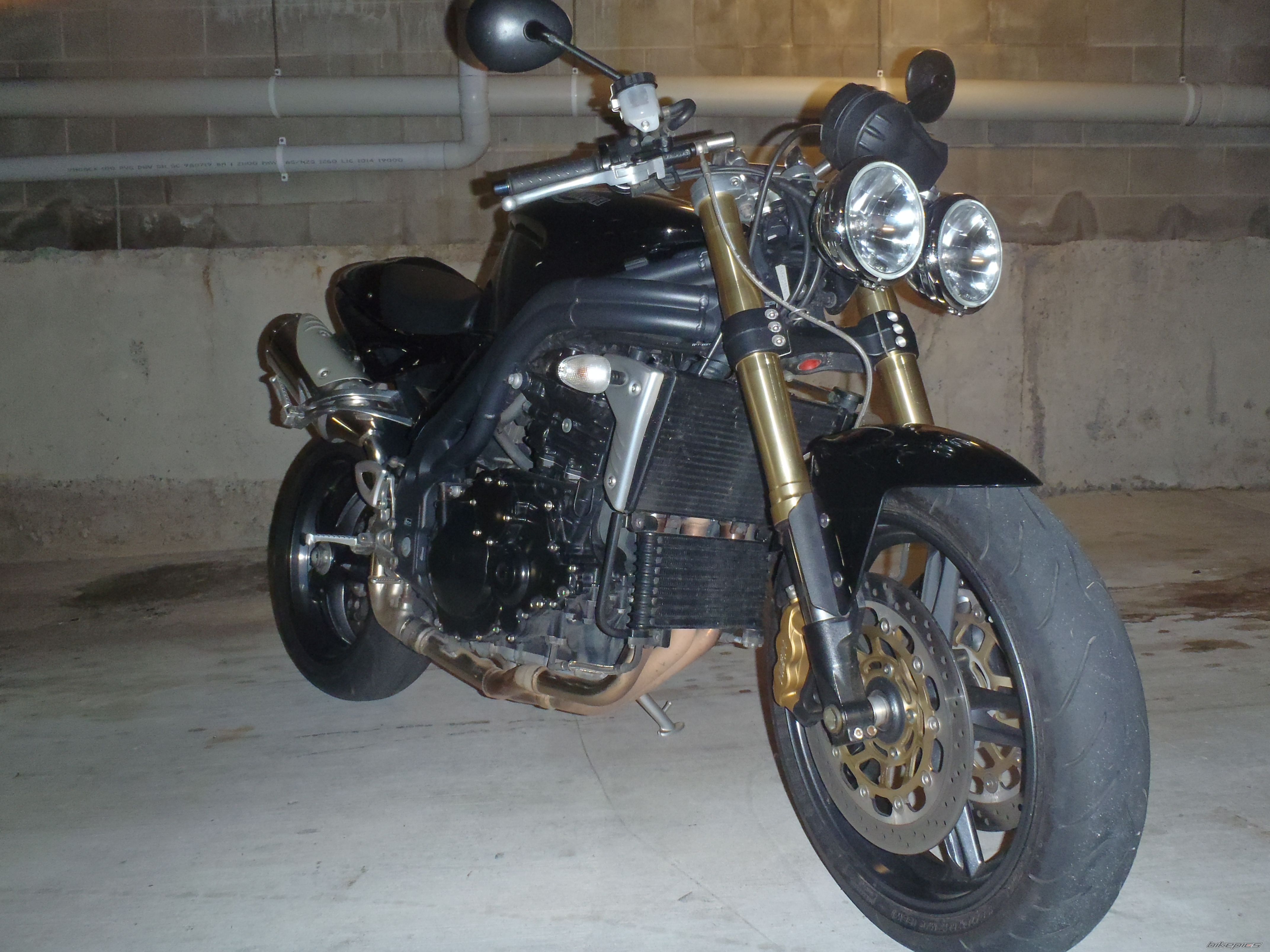 2005 TRIUMPH SPEED TRIPLE | Picture 2437976 motorcycle photo