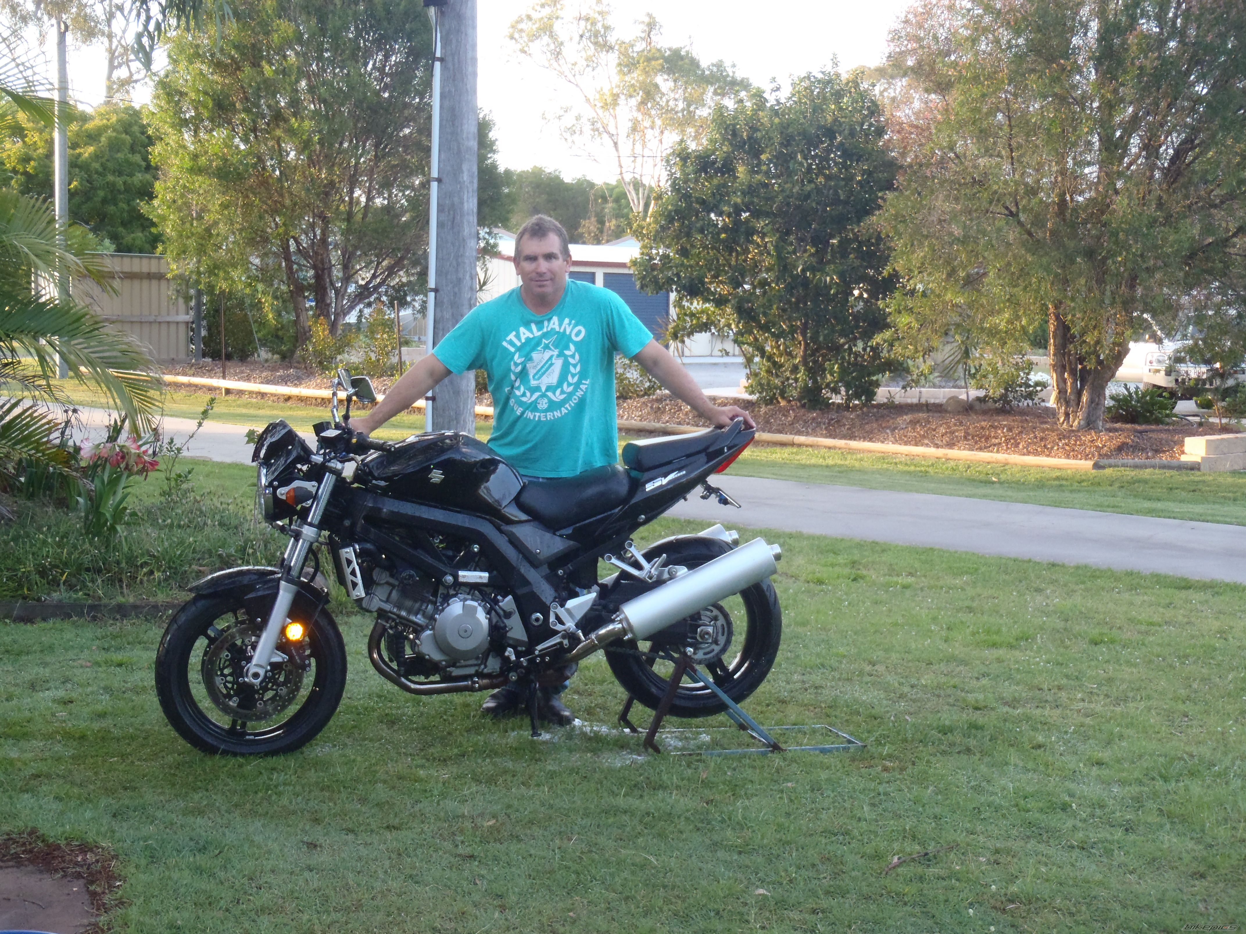 2005 SUZUKI SV 1000 | Picture 2437980 motorcycle photo