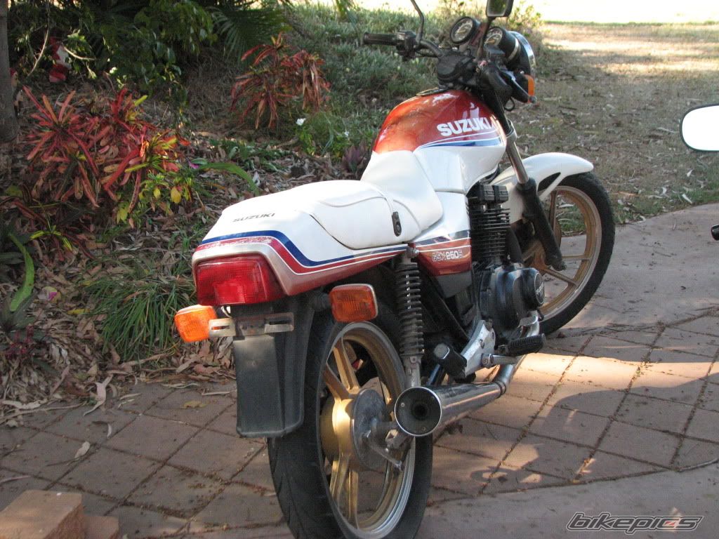1985 SUZUKI GSX 250 | Picture 2437991 motorcycle photo