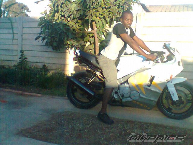 1991 HONDA CBR600F | Picture 2438872 motorcycle photo