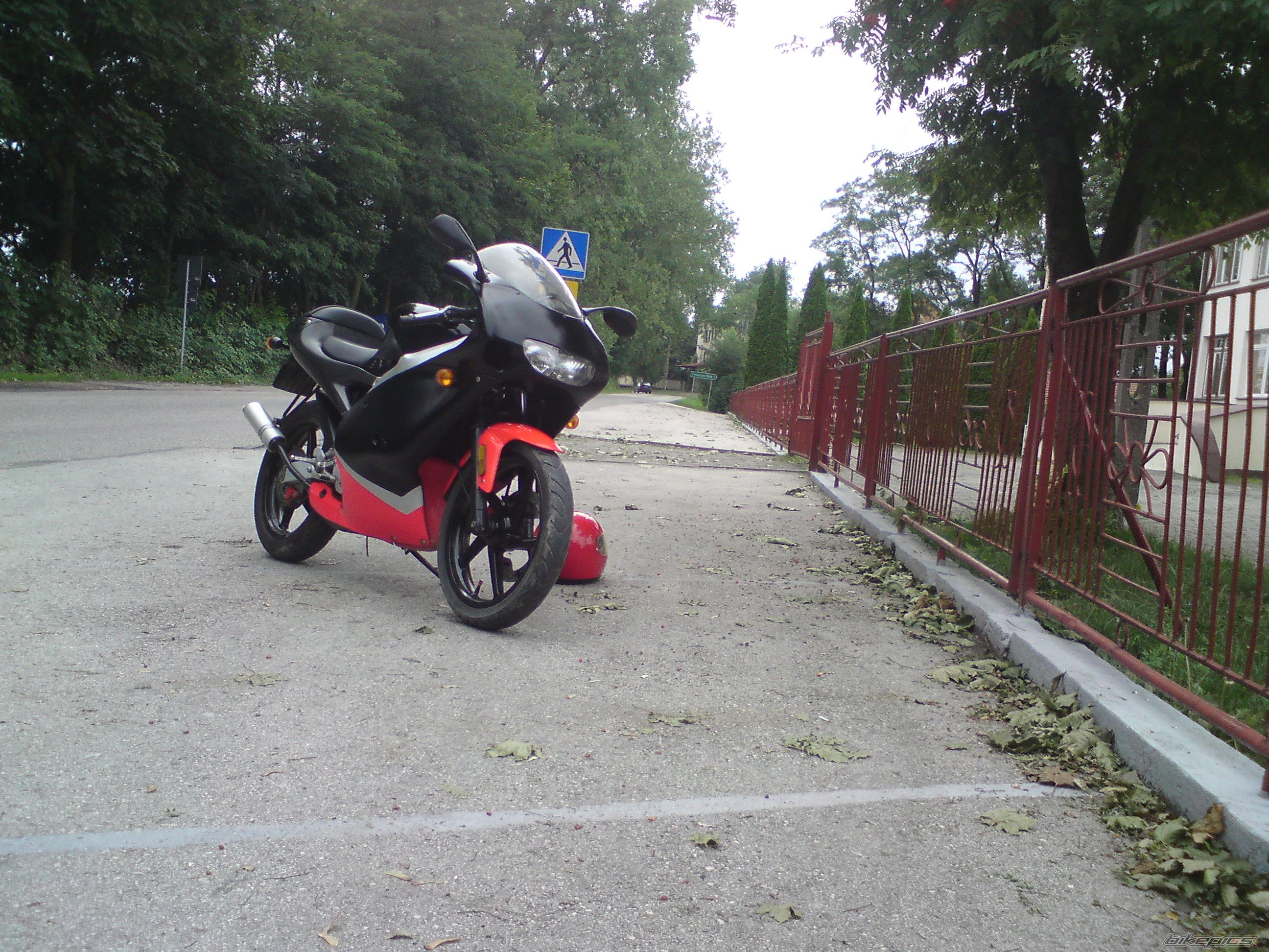 2001 APRILIA RS50 | Picture 2438904 motorcycle photo