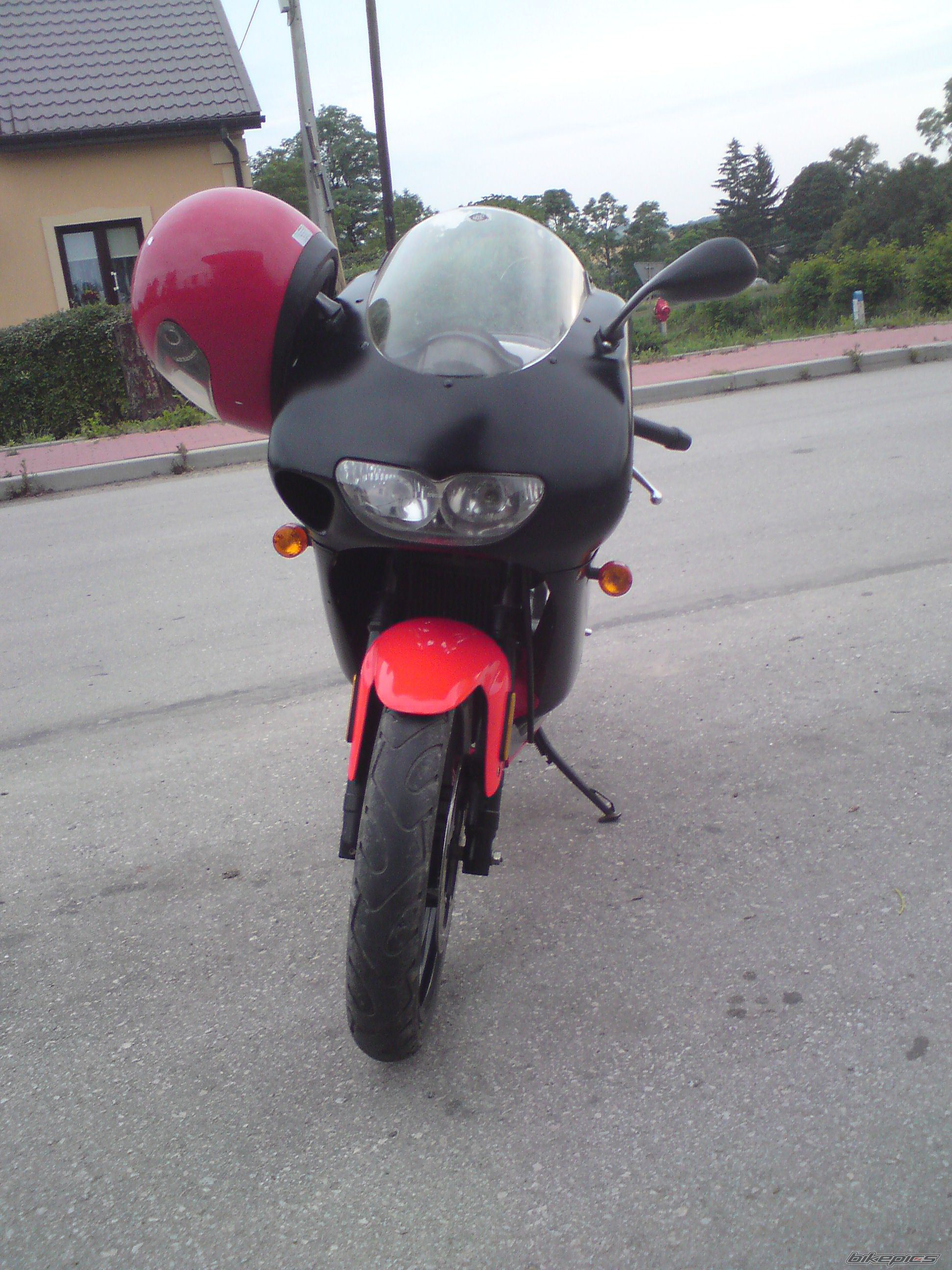2001 APRILIA RS50 | Picture 2438908 motorcycle photo
