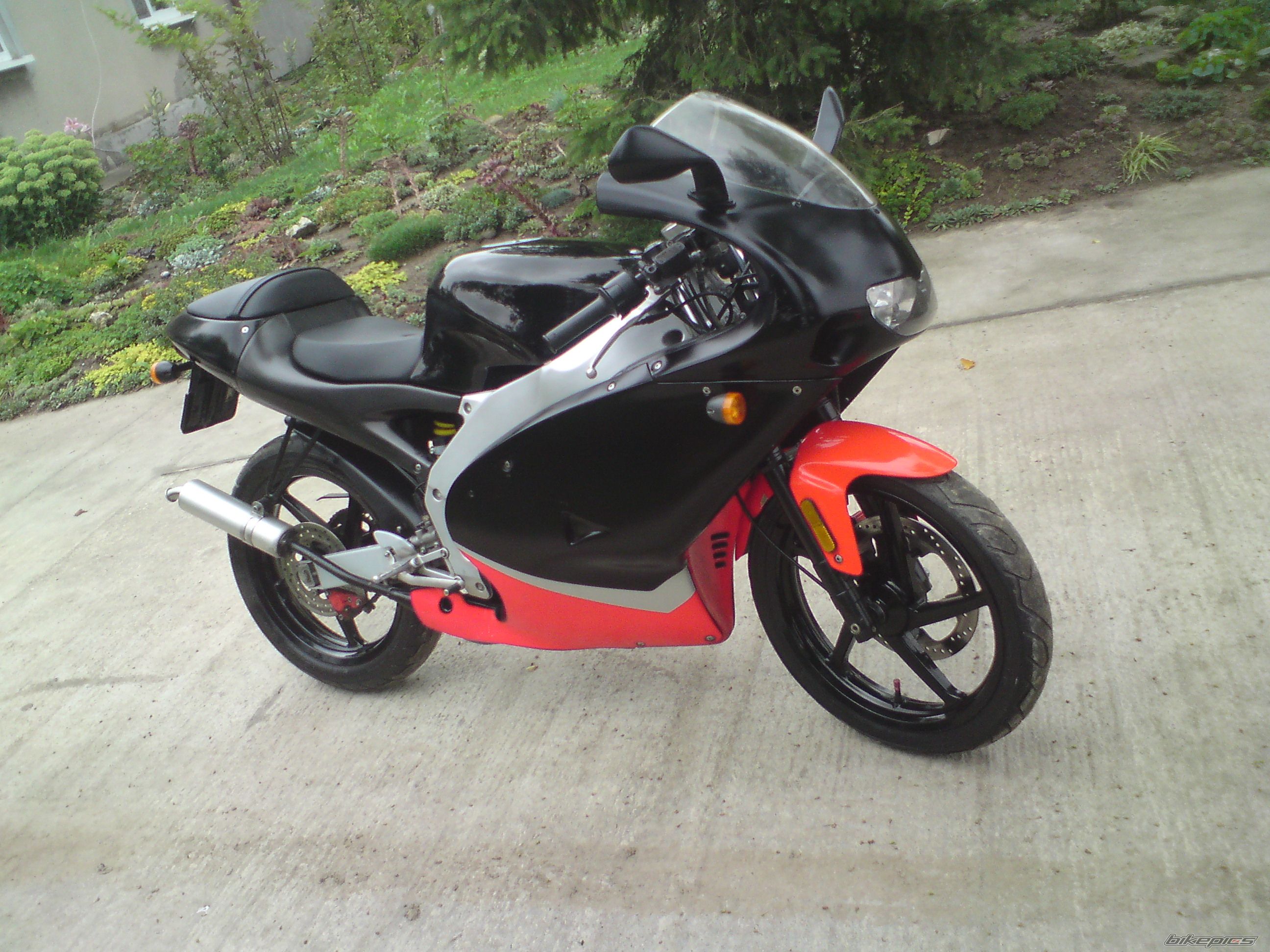 2001 APRILIA RS50 | Picture 2438914 motorcycle photo