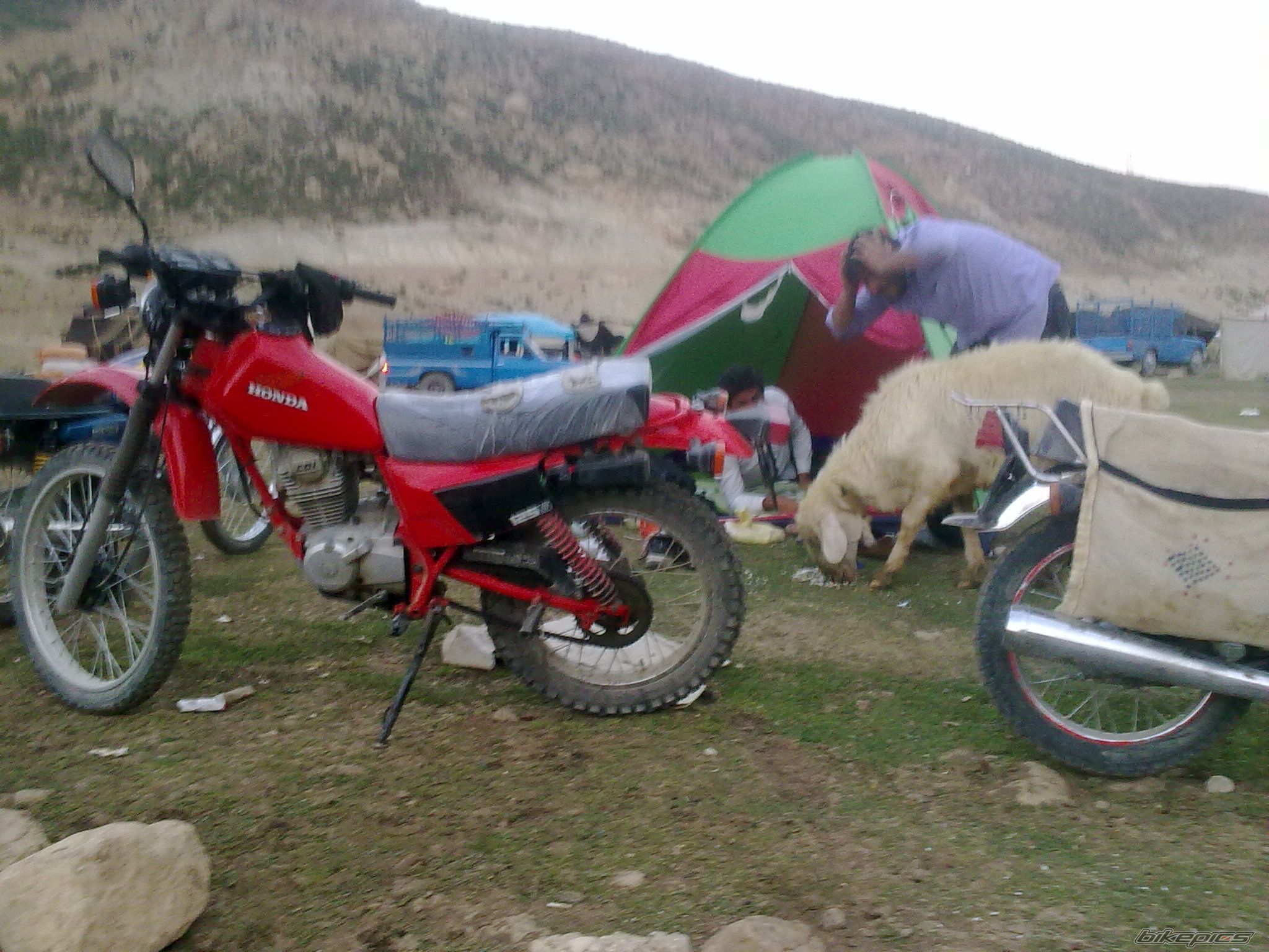    | Picture 2438976 motorcycle photo
