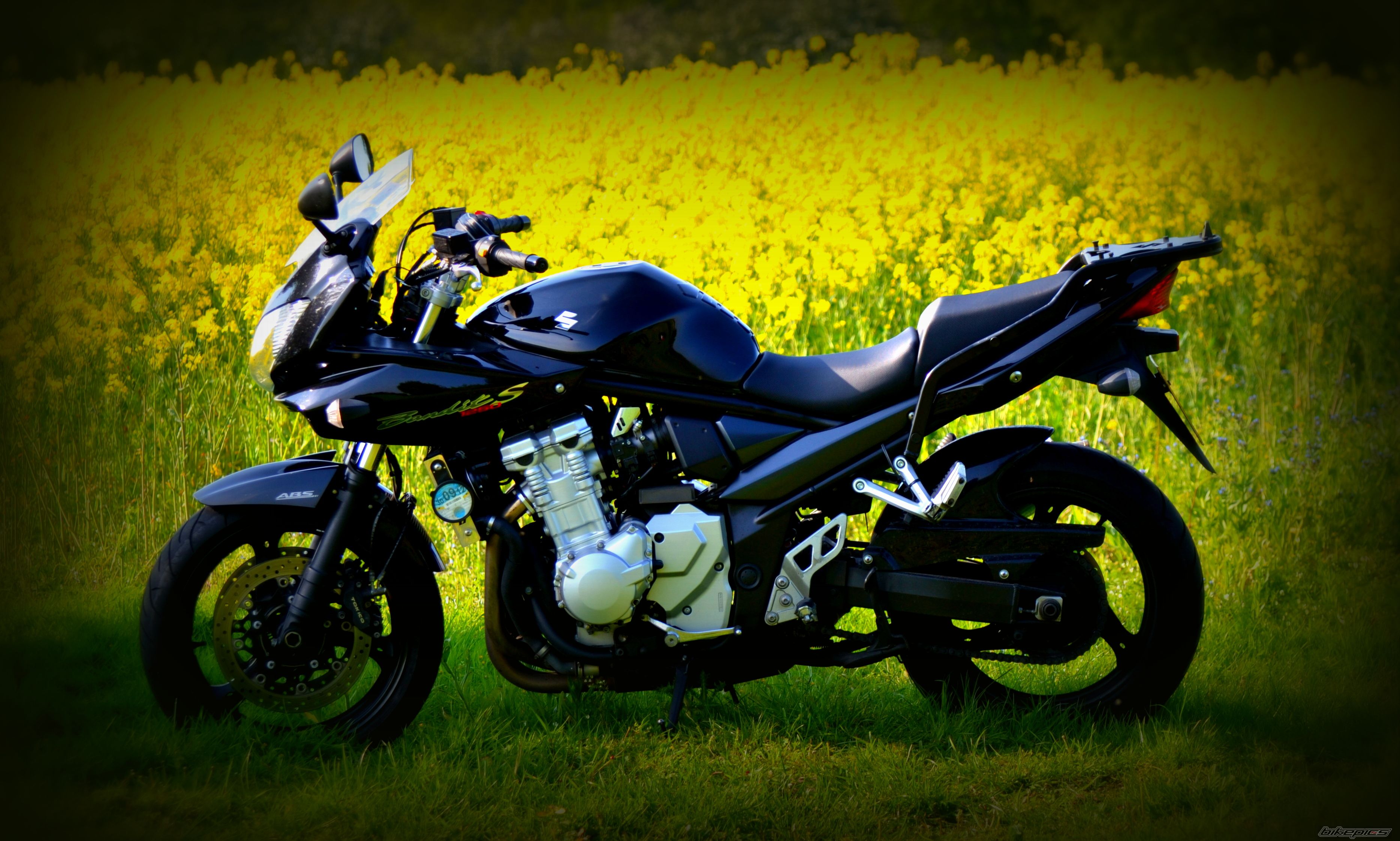 2007 SUZUKI BANDIT 1250S | Picture 2439474 motorcycle photo