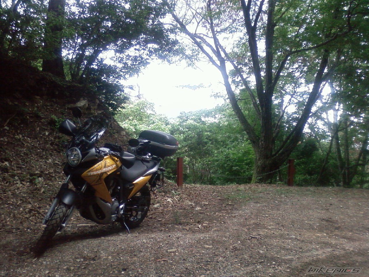 2008 HONDA XL 700V TRANSALP | Picture 2439639 motorcycle photo