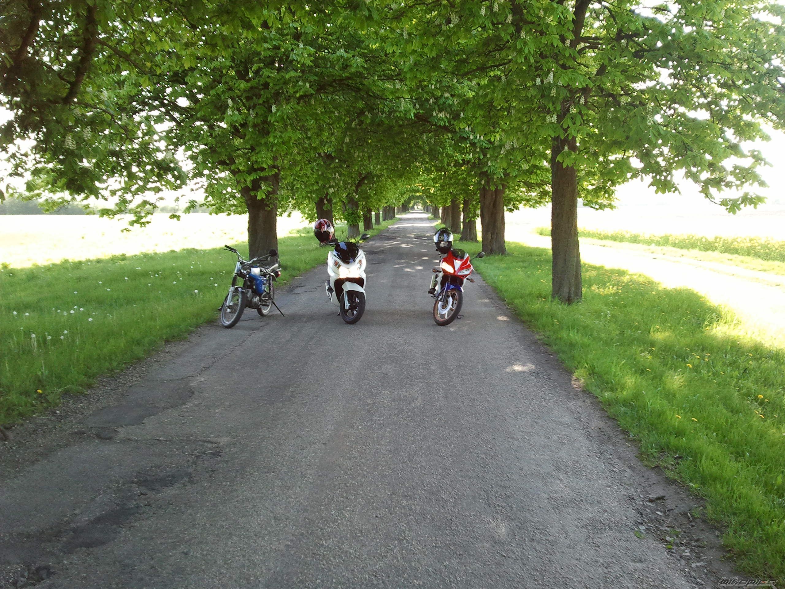2010 HONDA CBR 125 | Picture 2440667 motorcycle photo