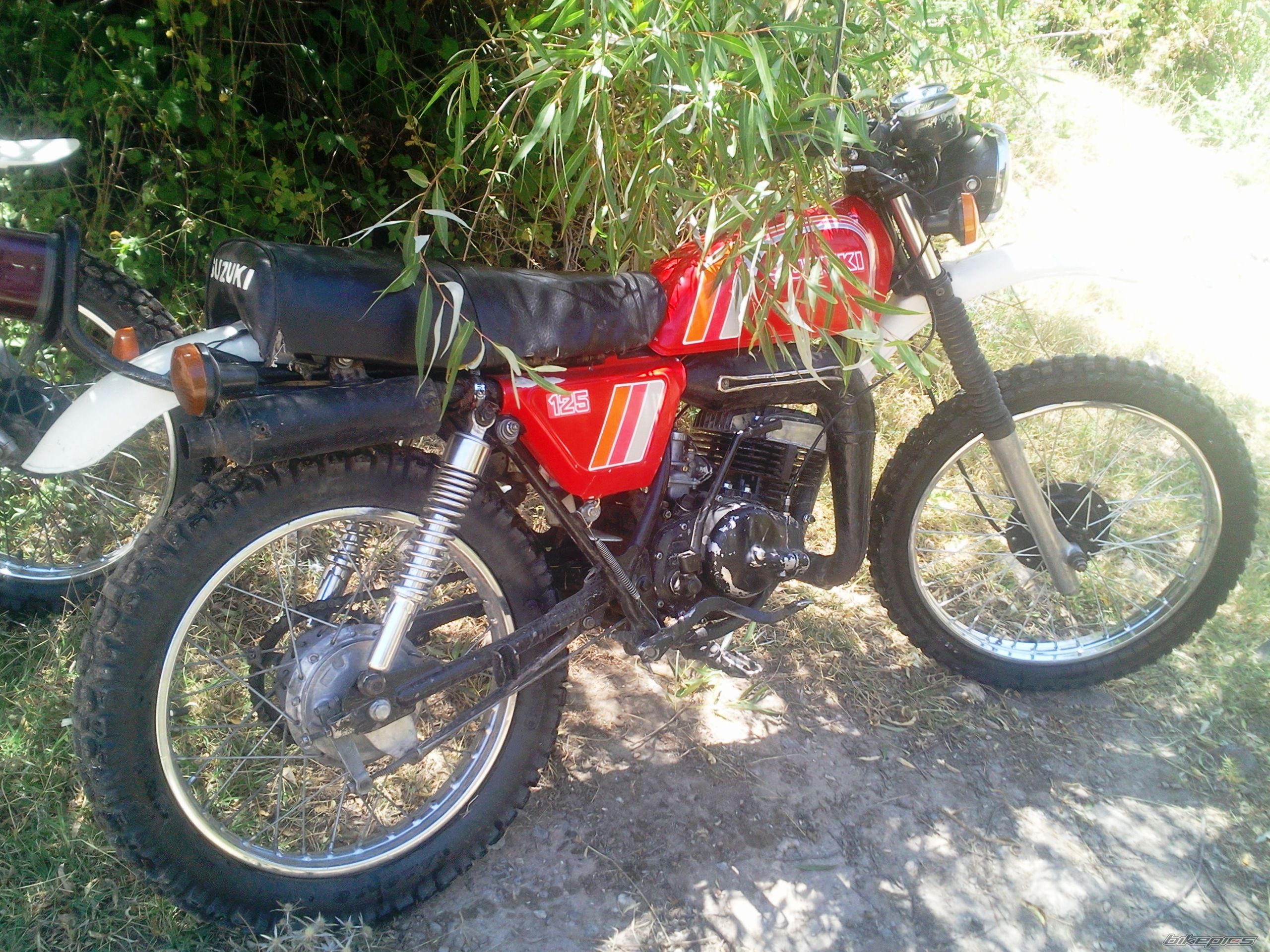 1979 SUZUKI TS 125 | Picture 2440758 motorcycle photo